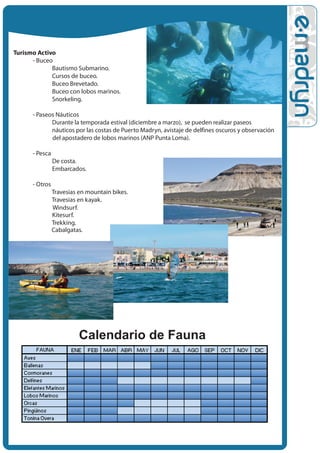 Turismo Activo
      - Buceo
             Bautismo Submarino.
             Cursos de buceo.
             Buceo Brevetado.
             Buceo con lobos marinos.
             Snorkeling.

      - Paseos Náuticos
             Durante la temporada estival (diciembre a marzo), se pueden realizar paseos
             náuticos por las costas de Puerto Madryn, avistaje de delfines oscuros y observación
             del apostadero de lobos marinos (ANP Punta Loma).

      - Pesca
                De costa.
                Embarcados.

      - Otros
                Travesias en mountain bikes.
                Travesias en kayak.
                Windsurf.
                Kitesurf.
                Trekking.
                Cabalgatas.




                          Calendario de Fauna
 