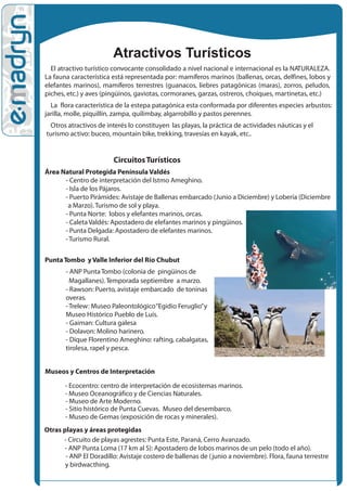 Atractivos Turísticos
  El atractivo turístico convocante consolidado a nivel nacional e internacional es la NATURALEZA.
La fauna característica está representada por: mamíferos marinos (ballenas, orcas, delfines, lobos y
elefantes marinos), mamíferos terrestres (guanacos, liebres patagónicas (maras), zorros, peludos,
piches, etc.) y aves (pingüinos, gaviotas, cormoranes, garzas, ostreros, choiques, martinetas, etc.)
  La ?flora característica de la estepa patagónica esta conformada por diferentes especies arbustos:
jarilla, molle, piquillín, zampa, quilimbay, algarrobillo y pastos perennes.
  Otros atractivos de interés lo constituyen las playas, la práctica de actividades náuticas y el
turismo activo: buceo, mountain bike, trekking, travesías en kayak, etc..


                         Circuitos Turísticos
Área Natural Protegida Península Valdés
      - Centro de interpretación del Istmo Ameghino.
      - Isla de los Pájaros.
      - Puerto Pirámides: Avistaje de Ballenas embarcado (Junio a Diciembre) y Lobería (Diciembre
       a Marzo). Turismo de sol y playa.
      - Punta Norte: lobos y elefantes marinos, orcas.
      - Caleta Valdés: Apostadero de elefantes marinos y pingüinos.
      - Punta Delgada: Apostadero de elefantes marinos.
      - Turismo Rural.


Punta Tombo y Valle Inferior del Río Chubut
       - ANP Punta Tombo (colonia de pingüinos de
         Magallanes). Temporada septiembre a marzo.
       - Rawson: Puerto, avistaje embarcado de toninas
       overas.
       - Trelew: Museo Paleontológico “Egidio Feruglio” y
       Museo Histórico Pueblo de Luís.
       - Gaiman: Cultura galesa
       - Dolavon: Molino harinero.
       - Dique Florentino Ameghino: rafting, cabalgatas,
       tirolesa, rapel y pesca.


Museos y Centros de Interpretación

       - Ecocentro: centro de interpretación de ecosistemas marinos.
       - Museo Oceanográfico y de Ciencias Naturales.
       - Museo de Arte Moderno.
       - Sitio histórico de Punta Cuevas. Museo del desembarco.
       - Museo de Gemas (exposición de rocas y minerales).
Otras playas y áreas protegidas
      - Circuito de playas agrestes: Punta Este, Paraná, Cerro Avanzado.
      - ANP Punta Loma (17 km al S): Apostadero de lobos marinos de un pelo (todo el año).
       - ANP El Doradillo: Avistaje costero de ballenas de ( junio a noviembre). Flora, fauna terrestre
       y birdwacthing.
 