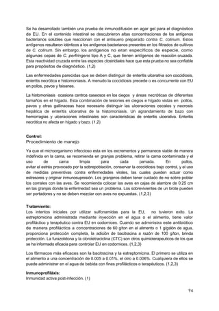 94
Se ha desarrollado también una prueba de inmunodifusión en agar gel para el diagnóstico
de EU. En el contenido intestinal se descubrieron altas concentraciones de los antígenos
bacterianos solubles que reaccionan con el antisuero preparado contra C. colinum. Estos
antígenos resultaron idénticos a los antígenos bacterianos presentes en los filtrados de cultivos
de C. colinum. Sin embargo, los antígenos no eran específicos de especie, como
algunas cepas de C. perfringens tipo A y C, que tienen antígenos de reacción cruzada.
Esta reactividad cruzada entre las especies clostridiales hace que esta prueba no sea confiable
para propósitos de diagnóstico. (1,2)
Las enfermedades parecidas que se deben distinguir de enteritis ulcerativa son coccidiosis,
enteritis necrótica e histomoniasis. A menudo la coccidiosis precede o es concurrente con EU
en pollos, pavos y faisanes.
La histomoniasis ocasiona centros caseosos en los ciegos y áreas necróticas de diferentes
tamaños en el hígado. Esta combinación de lesiones en ciegos e hígado vistas en pollos,
pavos y otras gallinaceas hace necesario distinguir las ulceraciones cecales y necrosis
hepática de enteritis ulcerativa de la histomoniasis. Un agrandamiento de bazo con
hemorragias y ulceraciones intestinales son caracteristicas de enteritis ulcerativa. Enteritis
necrótica no afecta en hígado y bazo. (1,2)
Control:
Procedimiento de manejo
Ya que el microorganismo infeccioso esta en los excrementos y permanece viable de manera
indefinida en la cama, se recomienda en granjas problema, retirar la cama contaminada y el
uso de cama limpia para cada parvada. En pollos,
evitar el estrés provocado por la sobrepoblación, conservar la coccidiosis bajo control, y el uso
de medidas preventivas contra enfermedades virales, las cuales pueden actuar como
estresores y originar inmunosupresión. Los granjeros deben tener cuidado de no sobre poblar
los corrales con las aves. Se recomienda colocar las aves en cajas de alambre de 0.25 cm
en las granjas donde la enfermedad sea un problema. Los sobrevivientes de un brote pueden
ser portadores y no se deben mezclar con aves no expuestas. (1,2,3)
Tratamiento:
Los intentos iniciales por utilizar sulfonamidas para la EU, no tuvieron exito. La
estreptomicina administrada mediante inyección en el agua o el alimento, tiene valor
profiláctico y terapéutico contra EU en codornices. Cuando se administra este antibiótico
de manera profiláctica a concentraciones de 60 g/ton en el alimento o 1 g/galón de agua,
proporciona protección completa, la adición de bacitracina a razón de 100 g/ton, brinda
protección. La furazolidona y la clorotetraciclina (CTC) son otros quimioterapeuticos de los que
se ha informado eficacia para controlar EU en codornices. (1,2,3)
Los fármacos más eficaces son la bacitracina y la estreptomicina. El primero se utiliza en
el alimento a una concentración de 0.005 a 0.01%, el otro a 0.006%. Cualquiera de ellos se
puede administrar en el agua de bebida con fines profilácticos o terapéuticos. (1,2,3)
Inmunoprofiláxis:
Inmunidad activa post-infección. (1)
 