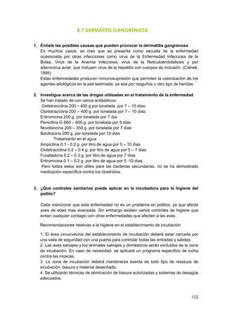 102
B.7 DERMATITIS GANGRENOSA
1. Enliste las posibles causas que pueden provocar la dermatitis gangrenosa
En muchos casos, se cree que se presenta como secuela de la enfermedad
ocasionada por otras infecciones como virus de la Enfermedad Infecciosa de la
Bolsa, Virus de la Anemia Infecciosa, virus de la Reticuloendoteliosis y por
adenovirus aviar, que incluyen virus de la hepatitis con cuerpos de inclusión. (Calnek,
1995)
Estas enfermedades producen inmunosupresión que permiten la colonización de los
agentes etiológicos en la piel lastimada, ya sea por rasguños u otro tipo de heridas.
2. Investigue acerca de las drogas utilizadas en el tratamiento de la enfermedad
Se han tratado de con varios antibióticos:
Oxitetraciclina 200 – 400 g por tonelada por 7 – 10 días
Clortetraciclina 200 – 400 g. por tonelada por 7 – 10 días
Eritromicina 200 g. por tonelada por 7 día
Penicilina G 660 – 800 g. por tonelada por 5 días
Novobiocina 200 – 350 g. por tonelada por 7 días
Bacitracina 200 g. por tonelada por 10 días
Tratamiento en el agua
Ampicilina 0.1 - 0.2 g. por litro de agua por 5 – 10 días
Oxitetraciclina 0.2 – 0.4 g. por litro de agua por 5 – 7 días
Furaltadona 0.2 – 0.3 g. por litro de agua por 7 días
Eritromicina 0.1 – 0.2 g. por litro de agua por 5 -10 días
Pero todos estos son útiles para las bacterias secundarias, no se ha demostrado
medicación específica contra los clostridios.
3. ¿Qué controles sanitarios puede aplicar en la incubadora para la higiene del
pollito?
Cabe mencionar que esta enfermedad no es un problema en pollitos, ya que afecta
aves de edad mas avanzada. Sin embargo existen varios controles de higiene que
evitan cualquier contagio con otras enfermedades que afecten a las aves.
Recomendaciones relativas a la higiene en el establecimiento de incubación
1. El área circunvecina del establecimiento de incubación deberá estar cercada por
una valla de seguridad con una puerta para controlar todas las entradas y salidas.
2. Las aves salvajes y los animales salvajes y domésticos serán excluidos de la zona
de incubación. En caso de necesidad, se aplicará un programa específico de lucha
contra las moscas.
3. La zona de incubación deberá mantenerse exenta de todo tipo de residuos de
incubación, basura y material desechado.
4. Se utilizarán técnicas de eliminación de basura autorizadas y sistemas de desagüe
adecuados.
 
