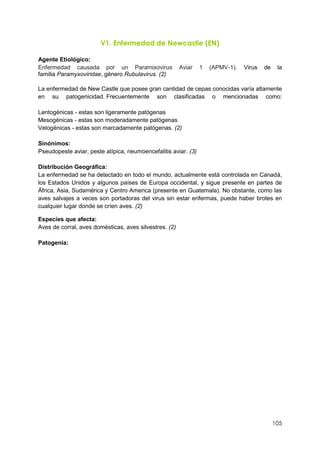 105
V1. Enfermedad de Newcastle (EN)
Agente Etiológico:
Enfermedad causada por un Paramixovirus Aviar 1 (APMV-1). Virus de la
familia Paramyxoviridae, género Rubulavirus. (2)
La enfermedad de New Castle que posee gran cantidad de cepas conocidas varía altamente
en su patogenicidad. Frecuentemente son clasificadas o mencionadas como:
Lentogénicas - estas son ligeramente patógenas
Mesogénicas - estas son moderadamente patógenas
Velogénicas - estas son marcadamente patógenas. (2)
Sinónimos:
Pseudopeste aviar, peste atípica, neumoencefalitis aviar. (3)
Distribución Geográfica:
La enfermedad se ha detectado en todo el mundo, actualmente está controlada en Canadá,
los Estados Unidos y algunos países de Europa occidental, y sigue presente en partes de
África, Asia, Sudamérica y Centro America (presente en Guatemala). No obstante, como las
aves salvajes a veces son portadoras del virus sin estar enfermas, puede haber brotes en
cualquier lugar donde se críen aves. (2)
Especies que afecta:
Aves de corral, aves domésticas, aves silvestres. (2)
Patogenia:
 