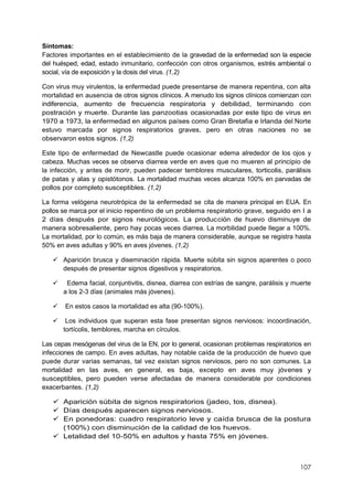 107
Síntomas:
Factores importantes en el establecimiento de la gravedad de la enfermedad son la especie
del huésped, edad, estado inmunitario, confección con otros organismos, estrés ambiental o
social, vía de exposición y la dosis del virus. (1,2)
Con virus muy virulentos, la enfermedad puede presentarse de manera repentina, con alta
mortalidad en ausencia de otros signos clínicos. A menudo los signos clínicos comienzan con
indiferencia, aumento de frecuencia respiratoria y debilidad, terminando con
postración y muerte. Durante las panzootias ocasionadas por este tipo de virus en
1970 a 1973, la enfermedad en algunos países como Gran Bretafia e Irlanda del Norte
estuvo marcada por signos respiratorios graves, pero en otras naciones no se
observaron estos signos. (1,2)
Este tipo de enfermedad de Newcastle puede ocasionar edema alrededor de los ojos y
cabeza. Muchas veces se observa diarrea verde en aves que no mueren al principio de
la infección, y antes de morir, pueden padecer temblores musculares, torticolis, parálisis
de patas y alas y opistótonos. La mortalidad muchas veces alcanza 100% en parvadas de
pollos por completo susceptibles. (1,2)
La forma velógena neurotrópica de la enfermedad se cita de manera principal en EUA. En
pollos se marca por el inicio repentino de un problema respiratorio grave, seguido en I a
2 días después por signos neurológicos. La producción de huevo disminuye de
manera sobresaliente, pero hay pocas veces diarrea. La morbilidad puede Ilegar a 100%.
La mortalidad, por lo común, es más baja de manera considerable, aunque se registra hasta
50% en aves adultas y 90% en aves jóvenes. (1,2)
 Aparición brusca y diseminación rápida. Muerte súbita sin signos aparentes o poco
después de presentar signos digestivos y respiratorios.
 Edema facial, conjuntivitis, disnea, diarrea con estrías de sangre, parálisis y muerte
a los 2-3 días (animales más jóvenes).
 En estos casos la mortalidad es alta (90-100%).
 Los individuos que superan esta fase presentan signos nerviosos: incoordinación,
tortícolis, temblores, marcha en círculos.
Las cepas mesógenas del virus de la EN, por lo general, ocasionan problemas respiratorios en
infecciones de campo. En aves adultas, hay notable caída de la producción de huevo que
puede durar varias semanas, tal vez existan signos nerviosos, pero no son comunes. La
mortalidad en las aves, en general, es baja, excepto en aves muy jóvenes y
susceptibles, pero pueden verse afectadas de manera considerable por condiciones
exacerbantes. (1,2)
 Aparición súbita de signos respiratorios (jadeo, tos, disnea).
 Días después aparecen signos nerviosos.
 En ponedoras: cuadro respiratorio leve y caída brusca de la postura
(100%) con disminución de la calidad de los huevos.
 Letalidad del 10-50% en adultos y hasta 75% en jóvenes.
 