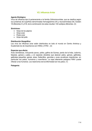 114
V2. Influenza Aviar
Agente Etiológico:
Virus de influenza tipo A perteneciente a la familia Orthomixoviridae, que se clasifica según
sus proteínas de superficie denominadas hemoaglutinina (H) y neuroaminidasa (N). Existen
18 diferentes H y 9 N; de la combinación de estas resultan 144 subtipos diferentes. (3)
Sinónimos:
 Gripe de los pájaros
 Gripe aviar
 Peste aviar
 Gripe del pollo
Distribución Geográfica:
Los virus de influenza aviar están distribuidos en todo el mundo en Centro América y
Guatemala los de importancia son H5N2 y H7N3 . (3)
Especies que afecta:
Aves domésticas, incluyendo pavos, pollos, gallina de Guinea, perdiz de la India, codorniz,
faisanes, gansos y patos, y en especies silvestres que abarcan patos, gansos, gallinetas,
gallinetas pequeñas, garzas, alcas, frailecillos, gaviotas y aves acuáticas migratorias, en
particular los patos, humanos y mamíferos. La cepa altamente patógena H5N1 puede
infectar a los humanos. Los reservorios de la enfermedad son los patos. (1)
Patogenia:
 