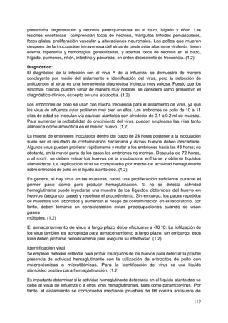 119
presentaba degeneración y necrosis parenquimatosa en el bazo, hígado y riñón. Las
lesiones encefálicas comprendían focos de necrosis, manguitos linfoides perivasculares,
focos gliales, proliferación vascular y alteraciones neuronales. Los pollos que mueren
después de la inoculación intravenosa del virus de peste aviar altamente virulento, tienen
edema, hiperemia y hemorragias generalizadas, y además focos de necrosis en el bazo,
hígado, pulmones, riñón, intestino y páncreas, en orden decreciente de frecuencia. (1,2)
Diagnóstico:
El diagnóstico de la infección con el virus A de la influenza, se demuestra de manera
concluyente por medio del aislamiento e identificación del virus, pero la detección de
anticuerpos al virus es una herramienta diagnóstica indirecta muy valiosa. Puesto que los
síntomas clínicos pueden variar de manera muy notable, se considera como presuntivo el
diagnóstico clínico, excepto en una epizootia. (1,2)
Los embriones de pollo se usan con mucha frecuencia para el aislamiento de virus, ya que
los virus de influenza aviar proliferan muy bien en ellos. Los embriones de pollo de 10 a 11
días de edad se inoculan vía cavidad alantoica con alrededor de 0.1 a 0.2 ml de muestra.
Para aumentar la probabilidad de crecimiento del virus, pueden emplearse las vías tanto
alantoica como amniótica en el mismo huevo. (1,2)
La muerte de embriones inoculados dentro del plazo de 24 horas posterior a la inoculación
suele ser el resultado de contaminación bacteriana y dichos huevos deben descartarse.
Algunos virus pueden proliferar rápidamente y matar a los embriones hacia las 48 horas; no
obstante, en la mayor parte de los casos los embriones no morirán. Después de 72 horas,
o al morir, se deben retirar los huevos de la incubadora, enfriarse y obtener líquidos
alantoideos. La replicación viral se comprueba por medio de actividad hemaglutinante
sobre eritrocitos de pollo en el líquido alantoideo. (1,2)
En general, si hay virus en las muestras, habrá una proliferación suficiente durante el
primer pase como para producir hemaglutinación. Si no se detecta actividad
hemaglutinante puede inyectarse una muestra de los líquidos obtenidos del huevo en
huevos (segundo pase) y repetirse el procedimiento. Sin embargo, los paces repetidos
de muestras son laboriosos y aumentan el riesgo de contaminación en el laboratorio, por
tanto, deben tomarse en consideración estas preocupaciones cuando se usan
pases
múltiples. (1,2)
El almacenamiento de virus a largo plazo debe efectuarse a -70 °C. La liofilización de
los virus también es apropiada para almacenamiento a largo plazo; sin embargo, esos
lotes deben probarse periódicamente para asegurar su infectividad. (1,2)
Identificación viral
Se emplean métodos estándar para probar los líquidos de los huevos para detectar la posible
presencia de actividad hemaglutinante con la utilización de eritrocitos de pollo con
macrotécnicas o microtécnicas. Para la identificación del virus se usa líquido
alantoideo positivo para hemaglutinación. (1,2)
Es importante determinar si la actividad hemaglutinante detectada en el líquido alantoideo se
debe al virus de influenza o a otros virus hemaglutinantes, tales como paramixovirus. Por
tanto, el aislamiento se comprueba mediante pruebas de IH contra antisuero de
 