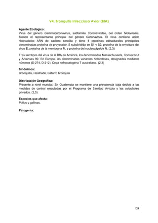 139
V4. Bronquitis Infecciosa Aviar (BIA)
Agente Etiológico:
Virus del género Gammacoronavirus, subfamilia Coronaviridae, del orden Nidovirales.
Siendo el representante principal del género Coronavirus. El virus contiene ácido
ribonucleico ARN de cadena sencilla y tiene 4 proteínas estructurales principales
denominadas proteína de proyección S subdividida en S1 y S2, proteína de la envoltura del
virus E, proteína de la membrana M, y proteína del nucleocápside N. (2,3)
Tres serotipos del virus de la BIA en América, los denominados Massachussets, Connecticut
y Arkansas 99. En Europa, las denominadas variantes holandesas, designadas mediante
números (D-274, D-212). Cepa nefropatogena T australiana. (2,3)
Sinónimos:
Bronquitis, Resfriado, Catarro bronquial
Distribución Geográfica:
Presente a nivel mundial, En Guatemala se mantiene una prevalencia baja debido a las
medidas de control ejecutadas por el Programa de Sanidad Avícola y los avicultores
privados. (2,3)
Especies que afecta:
Pollos y gallinas.
Patogenia:
 
