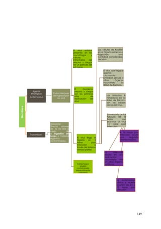 149
Gumboro
Agente
etiológico:
Avibirnavirus
El virus despues
de ingresar por
via oral
El virus estaba
presente en los
macrófagos y
células
linfocitarias del
yeyuno y ciegos
en un periodo de
4-5 horas
El duodeno,
yeyuno y ciegos
son los primeros
sitios de
replicación del
virus
El virus llega al
hígado en 5
horas post
infección a
través del sistema
venoso portal
Las células de Kupffer
en el hígado atrapan y
fagocitan una
cantidad considerable
del virus.
El virus que llega al
sistema
circulatorio
principal circula a
otros órganos
incluyendo la
Bolsa de Fabricio.
Los linfocitos B
inmaduros en la
Bolsa de Fabricio
son las células
diana del virus.
La mayoría de los
folículos de la
Bolsa son
positivos al virus
13 horas post
infección.
A 16 horas post
infección ocurre
una segunda
viremia masiva
La infección
resulta en una
replicación
secundaria viral
en otros órganos
linfáticos
La enfermedad
clínica y muerte
ocurren de 64 a
72 horas post
infección
Transmision
Horizontal:
Directa atraves
de la vía oral a
través de
la ingestión de
heces o material
orgánico
contaminados.
.
Indirecta:por
equipo
contaminado
(especialmente
calzados)
 