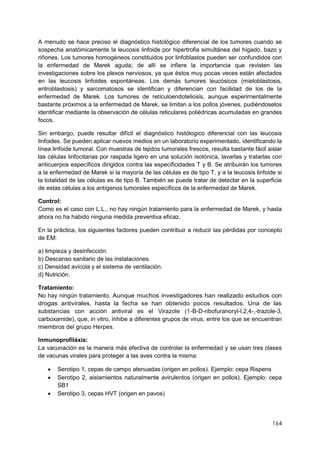 164
A menudo se hace preciso el diagnóstico histológico diferencial de los tumores cuando se
sospecha anatómicamente la leucosis linfoide por hipertrofia simultánea del hígado, bazo y
riñones. Los tumores homogéneos constituidos por linfoblastos pueden ser confundidos con
la enfermedad de Marek aguda; de allí se infiere la importancia que revisten las
investigaciones sobre los plexos nerviosos, ya que éstos muy pocas veces están afectados
en las leucosis linfoides espontáneas. Los demás tumores leucósicos (mieloblastosis,
eritroblastosis) y sarcomatosos se identifican y diferencian con facilidad de los de la
enfermedad de Marek. Los tumores de retículoendoteliosis, aunque experirnentalmente
bastante próximos a la enfermedad de Marek, se limitan a los pollos jóvenes, pudiéndoselos
identificar mediante la observación de células reticulares poliédricas acumuladas en grandes
focos.
Sin embargo, puede resultar difícil el diagnóstico histólogico diferencial con las leucosis
linfoides. Se pueden aplicar nuevos medios en un laboratorio experimentado, identificando la
línea linfoide tumoral. Con muestras de tejidos tumorales frescos, resulta bastante fácil aislar
las células linfocitarias por raspada ligero en una solución isotónica, lavarlas y tratarlas con
anticuerpos específicos dirigidos contra las especificidades T y B. Se atribuirán los tumores
a la enfermedad de Marek si la mayoría de las células es de tipo T, y a la leucosis linfoide si
la totalidad de las células es de tipo B. También se puede tratar de detectar en la superficie
de estas células a los antígenos tumorales específicos de la enfermedad de Marek.
Control:
Como es el caso con L.L., no hay ningún tratamiento para la enfermedad de Marek, y hasta
ahora no ha habido ninguna medida preventiva eficaz.
En la práctica, los siguientes factores pueden contribuir a reducir las pérdidas por concepto
de EM:
a) limpieza y desinfección.
b) Descanso sanitario de las instalaciones.
c) Densidad avícola y el sistema de ventilación.
d) Nutrición.
Tratamiento:
No hay ningún tratamiento. Aunque muchos investigadores han realizado estudios con
drogas antivirales, hasta la fecha se han obtenido pocos resultados. Una de las
substancias con acción antiviral es el Virazole (1-B-D-ribofuranoryl-l,2,4-,-trazole-3,
carboxamide), que, in vitro, inhibe a diferentes grupos de virus, entre los que se encuentran
miembros del grupo Herpes.
Inmunoprofiláxis:
La vacunación es la manera más efectiva de controlar la enfermedad y se usan tres clases
de vacunas virales para proteger a las aves contra la misma:
 Serotipo 1, cepas de campo atenuadas (origen en pollos). Ejemplo: cepa Rispens
 Serotipo 2, aislamientos naturalmente avirulentos (origen en pollos). Ejemplo: cepa
SB1
 Serotipo 3, cepas HVT (origen en pavos)
 