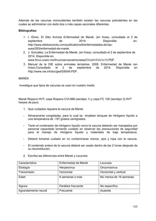 165
Además de las vacunas monovalentes también existen las vacunas polivalentes en las
cuales se administran con éxito dos o más cepas vacúnales diferentes.
Bibliografías:
1. I. Dinev. El Sitio Avícola Enfermedad de Marek. (en línea), consultado el 2 de
septiembre de 2014. Disponible en.
http://www.elsitioavicola.com/publications/6/enfermedades-de-las-
aves/283/enfermedad-de-marek.
2. J. González. La Enfermedad de Marek. (en línea), consultado el 2 de septiembre de
2014. Disponible en.
www.fmvz.unam.mx/fmvz/cienciavet/revistas/CVvol1/CVv1c13.PDF.
3. Manual de la OIE sobre animales terrestres. 2008. Enfermedad de Marek (en
línea).Consultado el 2 de septiembre de 2014. Disponible en
http://www.oie.int/doc/ged/D8549.PDF.
MAREK
Investigue que tipos de vacunas se usan en nuestro medio
Marek Rispens HVT; cepa Rispens CVI-988 (serotipo 1) y cepa FC 126 (serotipo 3) HVT
herpes de pavo.
1. Que cuidados requiere la vacuna de Marek
- Almacenarse congeladas, para lo cual se emplean tanques de nitrógeno líquido a
una temperatura de -197 grados centígrados.
- Tanto el contenedor de nitrógeno líquido como la vacuna deberán ser manejados por
personal capacitado tomando cuidado en observar las precauciones de seguridad
para el manejo de nitrógeno líquido y materiales de baja temperatura.
- Deberá tomarse cuidado en no contaminarse manos, ojos y ropa con la vacuna.
- El contenido entero de la vacuna deberá ser usado dentro de las 2 horas después de
su reconstitución.
2. Escriba las diferencias entre Marek y Leucosis
Característica Enfermedad de Marek Leucosis
Etiología Herpesvirus Oncornavirus
Transmisión Horizontal Horizontal y vertical.
Edad 6 semanas o mas No menos de 16 semanas
Signos Parálisis frecuente No específico
Agrandamiento neural Frecuente Ausente
 