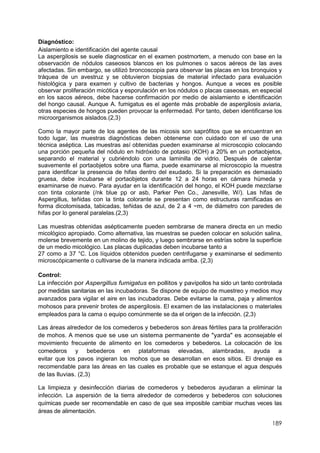 189
Diagnóstico:
Aislamiento e identificación del agente causal
La aspergilosis se suele diagnosticar en el examen postmortem, a menudo con base en la
observación de nódulos caseosos blancos en los pulmones o sacos aéreos de las aves
afectadas. Sin embargo, se utilizó broncoscopia para observar las placas en los bronquios y
tráquea de un avestruz y se obtuvieron biopsias de material infectado para evaluación
histológica y para examen y cultivo de bacterias y hongos. Aunque a veces es posible
observar proliferación micótica y esporulación en los nódulos o placas caseosas, en especial
en los sacos aéreos, debe hacerse confirmación por medio de aislamiento e identificación
del hongo causal. Aunque A. fumigatus es el agente más probable de aspergilosis aviaria,
otras especies de hongos pueden provocar la enfermedad. Por tanto, deben identificarse los
microorganismos aislados.(2,3)
Como la mayor parte de los agentes de las micosis son saprófitos que se encuentran en
todo lugar, las muestras diagnósticas deben obtenerse con cuidado con el uso de una
técnica aséptica. Las muestras así obtenidas pueden examinarse al microscopio colocando
una porción pequeña del nódulo en hidróxido de potasio (KOH) a 20% en un portaobjetos,
separando el material y cubriéndolo con una laminilla de vidrio. Después de calentar
suavemente el portaobjetos sobre una flama, puede examinarse al microscopio la muestra
para identificar la presencia de hifas dentro del exudado. Si la preparación es demasiado
gruesa, debe incubarse el portaobjetos durante 12 a 24 horas en cámara húmeda y
examinarse de nuevo. Para ayudar en la identificación del hongo, el KOH puede mezclarse
con tinta colorante (/nk blue pp or asb, Parker Pen Co., Janesville, W/). Las hifas de
Aspergillus, teñidas con la tinta colorante se presentan como estructuras ramificadas en
forma dicotomisada, tabicadas, teñidas de azul, de 2 a 4 ~m, de diámetro con paredes de
hifas por lo general paralelas.(2,3)
Las muestras obtenidas asépticamente pueden sembrarse de manera directa en un medio
micológico apropiado. Como alternativa, las muestras se pueden colocar en solución salina,
molerse brevemente en un molino de tejido, y luego sembrarse en estrías sobre la superficie
de un medio micológico. Las placas duplicadas deben incubarse tanto a
27 como a 37 °C. Los líquidos obtenidos pueden centrifugarse y examinarse el sedimento
microscópicamente o cultivarse de la manera indicada arriba. (2,3)
Control:
La infección por Aspergillus fumigatus en pollitos y pavipollos ha sido un tanto controlada
por medidas sanitarias en las incubadoras. Se dispone de equipo de muestreo y medios muy
avanzados para vigilar el aire en las incubadoras. Debe evitarse la cama, paja y alimentos
mohosos para prevenir brotes de aspergilosis. El examen de las instalaciones o materiales
empleados para la cama o equipo comúnmente se da el origen de la infección. (2,3)
Las áreas alrededor de los comederos y bebederos son áreas fértiles para la proliferación
de mohos. A menos que se use un sistema permanente de "yarda" es aconsejable el
movimiento frecuente de alimento en los comederos y bebederos. La colocación de los
comederos y bebederos en plataformas elevadas, alambradas, ayuda a
evitar que los pavos ingieran los mohos que se desarrollan en esos sitios. El drenaje es
recomendable para las áreas en las cuales es probable que se estanque el agua después
de las lluvias. (2,3)
La limpieza y desinfección diarias de comederos y bebederos ayudaran a eliminar la
infección. La aspersión de la tierra alrededor de comederos y bebederos con soluciones
químicas puede ser recomendable en caso de que sea imposible cambiar muchas veces las
áreas de alimentación.
 