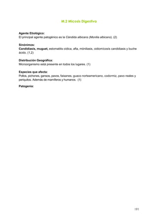 191
M.2 Micosis Digestiva
Agente Etiológico:
El principal agente patogénico es la Cándida albicans (Monilia albicans). (2)
Sinónimos:
Candidiasis, muguet, estomatitis oídica, afta, móniliasis, oidiomícosís candidiasis y buche
ácido. (1,2)
Distribución Geográfica:
Microorganismo está presente en todos los lugares. (1)
Especies que afecta:
Pollos, pichones, gansos, pavos, faisanes, guaco norteamericano, codormiz, pavo reales y
periquitos. Además de mamíferos y humanos. (1)
Patogenia:
 