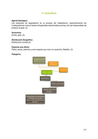 197
T.1 Gota Úrica
Agente Etiológico:
Los productos de degradación en el proceso del metabolismo, específicamente las
nucleoproteínas ricas en bases nitrogenadas denominadas purinas, son las responsables de
producir la gota. (3)
Sinónimos:
Artritis, gota. (2)
Distribución Geográfica:
Distribución mundial.(2)
Especies que afecta:
Pollos, pavos, palomas y aves rapaces que viven en cautiverio, Reptiles. (3)
Patogenia:
Degradacion
de las purinas
Xantina
Ácido urico.
Alantoina.
Ácido alantoico
Acido urico en
sangre.
Presipitados insolubles (
cristales de ácido
urico, urato sodico) en
tejidos.
Adenina,
Guanina.
 