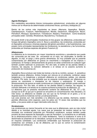 210
T.2 Micotoxinas
Agente Etiológico:
Son metabolitos secundarios tóxicos (compuestos policetonicos), producidos por algunos
mohos con la influencia de determinadas condiciones físicas, químicas y biológicas.(2)
Dentro de los mohos más importantes se tienen: Alternaria, Aspergillus, Botrytis,
Cephalosporium, Fusarium, Helminthosporium, Monilia, Geotrichum, Gleosporium, Mucor,
Penicillium, Rhizopus, Sporotrichum, Trichotecium, Absidía y Thamnidium. Como levaduras
principales están: Cándida, Rhodotorula, Mycoderma y Torulopsis.(2)
Se puede dividir a las principales micotoxinas en tres grupos: las aflatoxinas, producidas por
hongos del género Aspergillus como A. flavus y parasiticus, las ocratoxinas, producidas por
el Aspergillus ochraceus y diversas especies del género penicillium, y las fusariotoxinas, que
poseen como principales representantes los tricotecenos, la zearalenona y las fumonisinas,
producidas por diversas especies del género Fusarium.(2)
Aflatoxicosis:
La aflatoxina es la micotoxina con mayor importancia económica y prevalencia que puede
ser consumida por las aves. Se encuentran en el maíz, los cacahuates, la semilla de
algodón, el mijo, el sorgo y otros granos alimenticios. Es muy probable que se presente
contaminación por aflatoxinas en granos en crecimiento o manejados en los trópicos o
subtrópicos. El manejo o almacenamiento de granos en estas condiciones en cualquier lugar
también pueden estimular la producción. Por otro lado, el estrés en las plantas debido a
insectos, las sequías, la nutrición deficiente o el retraso en la cosecha aumenta la
producción de micotoxinas.(2)
Aspergillus flavus produce casi todas las toxinas y les da su nombre, aunque A. parasiticus
también produce aflatoxina. Ambos hongos son ubicuos en el ambiente, contienen cepas
toxigénicas y no toxigénicas y producen aflatoxina en condiciones calidas, con elevada
humedad. Por tanto, es más probable que se presente contaminación por aflatoxinas en
granos en crecimiento o manejados en los trópicos o subtropicos. El manejo o
almacenamiento de granos en estas condiciones en cualquier lugar también puede estimular
la producción. Por otro lado, el estrés en las plantas debido a insectos, las sequias, la
nutrición deficiente o el retraso en la cosecha aumenta la producción de aflatoxina. (2)
La aflatoxina que se presenta naturalmente contiene las aflatoxinas B1, B2, G1 y G2,
aunque es la B1 la que por lo general se encuentra en concentraciones más elevadas y la
más toxica. La aflatoxina es estable una vez que se ha formado en el grano, y no se
degrada durante la molienda normal y el almacenamiento.
Las aves jóvenes son más sensibles a la aflatoxina que las adultas. Asimismo, existen
grandes diferencias entre especies, pues los patos son 10 veces más sensibles que los
pollos, y los pavos están en lugar intermedio entre dos.(2)
Ocratoxicosis:
Las ocratoxicosis es menos frecuente en las aves que la aflatoxicosis, pero es más mortal
debido a su toxicidad aguda. Los casos que se presentan de manera natural se han
vinculado con ocratoxina producida por Penicillium veridicatum, aunque también puede
provenir de otras especies de Aspergillus y seis de Penicillium. La ocratoxina es un derivado
de la dihidroisocumarina unido a la L-beta fenilalanina. Tanto la ocratoxina A como la B
declorinada se presentan en la naturaleza, aunque la primera es la más toxica y se produce
en mayores cantidades. Las condiciones ambientales que favorecen la producción de
ocratoxinas son similares a las de aflatoxina, por lo que es común la contaminación
simultánea con ambas.(2)
 