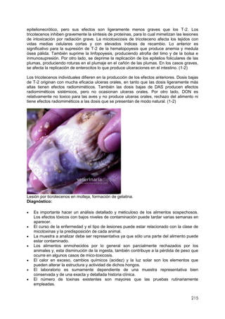 215
epitelionecrótico, pero sus efectos son ligeramente menos graves que los T-2. Los
tricotecenos inhiben gravemente la síntesis de proteínas, para lo cual mimetizan las lesiones
de intoxicación por radiación grave. La micotoxicosis de tricoteceno afecta los tejidos con
vidas medias celulares cortas y con elevados índices de recambio. Lo anterior es
significativo para la supresión de T-2 de la hematopoyesis que produce anemia y medula
ósea pálida. También suprime la linfopoyesis, produciendo atrofia del timo y de la bolsa e
inmunosupresión. Por otro lado, se deprime la replicación de los epitelios foliculares de las
plumas, produciendo roturas en el plumaje en el cañón de las plumas. En los casos graves,
se afecta la replicación de enterocitos lo que produce ulceraciones en el intestino. (1-2)
Los tricotecenos individuales difieren en la producción de los efectos anteriores. Dosis bajas
de T-2 originan con mucha eficacia ulceras orales, en tanto que las dosis ligeramente más
altas tienen efectos radiomiméticos. También las dosis bajas de DAS producen efectos
radiomiméticos sistémicos, pero no ocasionan ulceras orales. Por otro lado, DON es
relativamente no toxico para las aves y no produce ulceras orales, rechazo del alimento ni
tiene efectos radiomiméticos a las dosis que se presentan de modo natural. (1-2)
Lesión por ticrotecenos en molleja, formación de gelatina.
Diagnóstico:
 Es importante hacer un análisis detallado y meticuloso de los alimentos sospechosos.
Los efectos tóxicos con bajos niveles de contaminación puede tardar varias semanas en
aparecer.
 El curso de la enfermedad y el tipo de lesiones puede estar relacionado con la clase de
micotoxinas y la predisposición de cada animal.
 La muestra a analizar debe ser representativa ya que sólo una parte del alimento puede
estar contaminado.
 Los alimentos enmohecidos por lo general son parcialmente rechazados por los
animales y, esta disminución de la ingesta, también contribuye a la pérdida de peso que
ocurre en algunos casos de mico-toxicosis.
 El calor en exceso, cambios químicos (acidez) y la luz solar son los elementos que
pueden alterar la estructura y actividad de dichos hongos.
 El laboratorio es sumamente dependiente de una muestra representativa bien
conservada y de una exacta y detallada historia clínica.
 El número de toxinas existentes son mayores que las pruebas rutinariamente
empleadas.
 