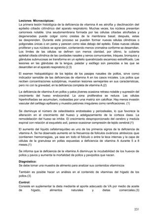 231
Lesiones Microscópicas:
La primera lesión histológica de la deficiencia de vitamina A es atrofia y declinación del
epitelio ciliado cilíndrico del aparato respiratorio. Muchas veces, los núcleos presentan
cariorrexis notable. Una seudomembrana formada por las células ciliadas atrofiadas y
degeneradas puede colgar como crestas de la membrana basal; después, estas
se desprenden. Durante este proceso se pueden formar nuevas células cilíndricas o
poligonales únicas o en pares y parecen como islas debajo del epitelio. Estas nuevas células
proliferan y sus núcleos se agrandan, conteniendo menos cromatina conforme se desarrollan.
Los límites de las células se definen con menos claridad, por último, la cubierta
epitelial ciliada cilíndrica de las cavidades nasales y senos comunicantes, tráquea, bronquios y
glándulas submucosas se transforma en un epitelio queratinizado escamoso estratificado. Las
lesiones en las glándulas de la lengua, paladar y esófago son parecidas a las que se
desarrollan en el aparato respiratorio.(2,3)
El examen histopatológico de los tejidos de los pasajes nasales de pollos, sirve como
indicador sensible de las deficiencias de vitamina A en los casos iniciales. Los pollos que
reciben concentraciones subóptimas, muestran lesiones semejantes en sus características,
pero no con la gravedad, en la deficiencia completa de vitamina A.(2)
La deficiencia de vitamina A en pollos y patos jóvenes ocasiona retraso notable y supresión del
crecimiento del hueso endocondral. La zona proliferativa se reduce. Las células
hipertrofiadas se acumulan, rodeadas por una matriz sin calcificar. Hay menos invasión
vascular del cartílago epifisiario y muestra patrones irregulares como ramificaciones. (1)
Se disminuye el número de osteoblastos endosteales y periosteales, lo que favorece la
alteración en el crecimiento del hueso y adelgazamiento de la corteza ósea. La
remodelación del hueso se inhibe. El crecimiento desproporcionado del cerebro y medula
espinal con relación al esqueleto axil, parece ocasionar compresión de tejido cerebral.(1)
El aumento del líquido cefalorraquídeo es uno de los primeros signos de la deficiencia de
vitamina A. Se ha observado aumento en la frecuencia de folículos ováricos atrésicos que
contienen hemorragias, ya sea en todo el folículo o entre la teca internas y la capa de
células de la granulosa en pollas expuestas a deficiencia de vitamina A durante 5 a 8
meses.(1)
Se informa que la deficiencia de la vitamina A disminuye la incubabilidad de los huevos de
pollos y pavos y aumenta la mortalidad de pollos y pavipollos que nacen.
Diagnóstico:
Se debe tomar una muestra de alimento para analizar sus contenidos vitamínicos
También es posible hacer un análisis en el contenido de vitaminas del hígado de los
pollos.(3)
Control:
Consiste en suplementar la dieta mediante el aporte adecuado de VA por medio de aceite
de hígado, alimentos naturales y dietas comerciales.(3)
 
