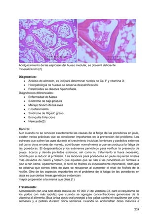 239
Adelgazamiento de las espículas del hueso medular, se observa deficiente
mineralización.(2)
Diagnóstico:
 Análisis de alimento, es útil para determinar niveles de Ca, P y vitamina D.
 Histopatología de huesos se observa descalcificación.
 Paratiroides se observa hipertrofiada.
Diagnósticos diferenciales:
 Enfermedad de Marek
 Síndrome de baja postura
 Manejo brusco de las aves
 Encefalomielitis
 Síndrome de Hígado graso.
 Bronquitis Infecciosa
 Newcastle(3)
Control:
Aun cuando no se conocen exactamente las causas de la fatiga de las ponedoras en jaula,
existen varias prácticas que se consideran importantes en la prevención del problema. Los
estreses que sufren las aves durante el crecimiento incluidas lombrices y parásitos externos
así como otros errores de manejo, contribuyen normalmente a que se produzca la fatiga de
las ponedoras. El desparasitado y los exámenes periódicos para verificar la presencia de
piojos, ácaros y demás parásitos externos, así como su tratamiento si fuera necesario,
contribuyen a reducir el problema. Las raciones para ponedoras en jaula requieren niveles
más elevados de calero y fósforo que aquellas que se dan a las ponedoras en corrales a
piso o con cama. Aparentemente, el nivel de fósforo es especialmente importante, dado que
se observa que ciertos lotes de aves se recuperan al aumentar el nivel de fósforo de la
ración. Otro de los aspectos importantes en el problema de la fatiga de las ponedoras en
jaula es que ciertas líneas genéticas evidencian
mayor propensión a la misma que otras.(1)
Tratamiento:
Alimentación con una sola dosis masiva de 15 000 VI de vitamina 03, curó el raquitismo de
los pollos con más rapidez que cuando se agregan concentraciones generosas de la
vitamina al alimento. Esta única dosis oral protegió a los gallos contra el raquitismo por ocho
semanas y a pollitas durante cinco semanas. Cuando se administran dosis masivas a
 