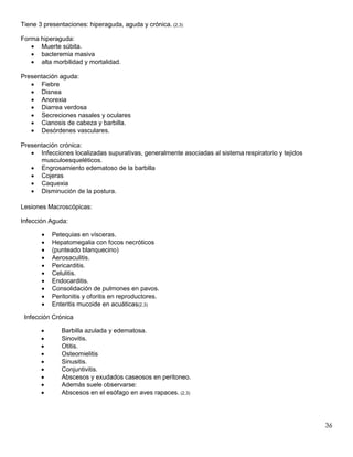 36
Tiene 3 presentaciones: hiperaguda, aguda y crónica. (2,3)
Forma hiperaguda:
 Muerte súbita.
 bacteremia masiva
 alta morbilidad y mortalidad.
Presentación aguda:
 Fiebre
 Disnea
 Anorexia
 Diarrea verdosa
 Secreciones nasales y oculares
 Cianosis de cabeza y barbilla.
 Desórdenes vasculares.
Presentación crónica:
 Infecciones localizadas supurativas, generalmente asociadas al sistema respiratorio y tejidos
musculoesqueléticos.
 Engrosamiento edematoso de la barbilla
 Cojeras
 Caquexia
 Disminución de la postura.
Lesiones Macroscópicas:
Infección Aguda:
 Petequias en vísceras.
 Hepatomegalia con focos necróticos
 (punteado blanquecino)
 Aerosaculitis.
 Pericarditis.
 Celulitis.
 Endocarditis.
 Consolidación de pulmones en pavos.
 Peritonitis y oforitis en reproductores.
 Enteritis mucoide en acuáticas(2,3)
Infección Crónica
 Barbilla azulada y edematosa.
 Sinovitis.
 Otitis.
 Osteomielitis
 Sinusitis.
 Conjuntivitis.
 Abscesos y exudados caseosos en peritoneo.
 Además suele observarse:
 Abscesos en el esófago en aves rapaces. (2,3)
 