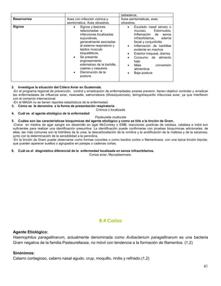 41
bebederos.
Reservorios Aves con infección crónica y
asintomática. Aves silvestres.
Aves asintomáticas, aves
silvestres.
Signos  Signos y lesiones
relacionadas a
infecciones localizadas
supurativas,
generalmente asociadas
al sistema respiratorio y
tejidos musculo
esqueléticos.
 Se presenta
engrosamiento
edematoso de la barbilla,
cojeras y caquexia.
 Disminución de la
postura.
 Exudado nasal seroso o
mucoso, Estornudos,
Inflamación de senos
infraorbitarios, edema
facial y conjuntivitis
 Inflamación de barbillas
evidente en machos
 Estertor traqueal, diarrea
 Consumo de alimento
bajo
 Mala conversión
alimenticia
 Baja postura
2. Investigue la situación del Cólera Aviar en Guatemala.
-En el programa regional de prevención, control y erradicación de enfermedades aviares prevenir, tienen objetivo controlar y erradicar
las enfermedades de influenza aviar, newcastle, salmonelosis (tifosis/pulorosis), laringotraqueítis infecciosa aviar, ya que interfieren
con el comercio internacional.
-En el MAGA no se tienen reportes estadísticos de la enfermedad.
3. Cómo se le denomina a la forma de presentación respiratoria
Crónica o localizada
4. Cuál es el agente etiológico de la enfermedad
Pasteurella multocida
5. Cuáles son las características bioquímicas del agente etiológico y como se tiñe a la tinción de Gram.
-Crece en medios de agar sangre sin desarrollo en agar McConkey o EMB, reacciones positivas de oxidasa, catalasa e indol son
suficientes para realizar una identificación presuntiva. La identificación puede confirmarse con pruebas bioquímicas adicionales; de
ellas, las más comunes son la hidrólisis de la urea, la descarboxilación de la ornitina y la acidificación de la maltosa y de la sacarosa,
junto con la determinación de la sensibilidad a la penicilina.
-En la tinción de Gram puede observarse como formas cocoides o como bacilos cortos o filamentosos, con una típica tinción bipolar,
que pueden aparecer sueltos o agrupados en parejas o cadenas cortas.
6. Cuál es el diagnóstico diferencial de la enfermedad localizada en senos infraorbitarios.
Coriza aviar, Mycoplasmosis.
B.4 Coriza
Agente Etiológico:
Haemophilus paragallinarum, actualmente denominada como Avibacterium paragallinarum es una bacteria
Gram negativa de la familia Pasteurellacea, no móvil con tendencia a la formación de filamentos. (1,2)
Sinónimos:
Catarro contagioso, catarro nasal agudo, crup, moquillo, rinitis y refriado.(1,2)
 