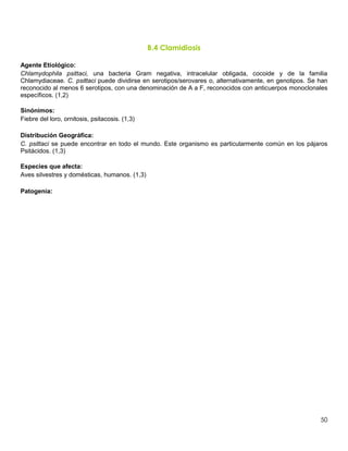 50
B.4 Clamidiosis
Agente Etiológico:
Chlamydophila psittaci, una bacteria Gram negativa, intracelular obligada, cocoide y de la familia
Chlamydiaceae. C. psittaci puede dividirse en serotipos/serovares o, alternativamente, en genotipos. Se han
reconocido al menos 6 serotipos, con una denominación de A a F, reconocidos con anticuerpos monoclonales
específicos. (1,2)
Sinónimos:
Fiebre del loro, ornitosis, psitacosis. (1,3)
Distribución Geográfica:
C. psittaci se puede encontrar en todo el mundo. Este organismo es particularmente común en los pájaros
Psitácidos. (1,3)
Especies que afecta:
Aves silvestres y domésticas, humanos. (1,3)
Patogenia:
 