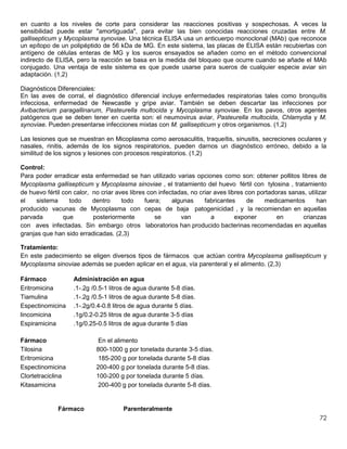 72
en cuanto a los niveles de corte para considerar las reacciones positivas y sospechosas. A veces la
sensibilidad puede estar "amortiguada", para evitar las bien conocidas reacciones cruzadas entre M.
gallisepticum y Mycoplasma synoviae. Una técnica ELISA usa un anticuerpo monoclonal (MAb) que reconoce
un epítopo de un polipéptido de 56 kDa de MG. En este sistema, las placas de ELISA están recubiertas con
antígeno de células enteras de MG y los sueros ensayados se añaden como en el método convencional
indirecto de ELISA, pero la reacción se basa en la medida del bloqueo que ocurre cuando se añade el MAb
conjugado. Una ventaja de este sistema es que puede usarse para sueros de cualquier especie aviar sin
adaptación. (1,2)
Diagnósticos Diferenciales:
En las aves de corral, el diagnóstico diferencial incluye enfermedades respiratorias tales como bronquitis
infecciosa, enfermedad de Newcastle y gripe aviar. También se deben descartar las infecciones por
Avibacterium paragallinarum, Pasteurella multocida y Mycoplasma synoviae. En los pavos, otros agentes
patógenos que se deben tener en cuenta son: el neumovirus aviar, Pasteurella multocida, Chlamydia y M.
synoviae. Pueden presentarse infecciones mixtas con M. gallisepticum y otros organismos. (1,2)
Las lesiones que se muestran en Micoplasma como aerosaculitis, traqueítis, sinusitis, secreciones oculares y
nasales, rinitis, además de los signos respiratorios, pueden darnos un diagnóstico erróneo, debido a la
similitud de los signos y lesiones con procesos respiratorios. (1,2)
Control:
Para poder erradicar esta enfermedad se han utilizado varias opciones como son: obtener pollitos libres de
Mycoplasma gallisepticum y Mycoplasma sinoviae , el tratamiento del huevo fértil con tylosina , tratamiento
de huevo fértil con calor, no criar aves libres con infectadas, no criar aves libres con portadoras sanas, utilizar
el sistema todo dentro todo fuera; algunas fabricantes de medicamentos han
producido vacunas de Mycoplasma con cepas de baja patogenicidad , y la recomiendan en aquellas
parvada que posteriormente se van a exponer en crianzas
con aves infectadas. Sin embargo otros laboratorios han producido bacterinas recomendadas en aquellas
granjas que han sido erradicadas. (2,3)
Tratamiento:
En este padecimiento se eligen diversos tipos de fármacos que actúan contra Mycoplasma gallisepticum y
Mycoplasma sinoviae además se pueden aplicar en el agua, vía parenteral y el alimento. (2,3)
Fármaco Administración en agua
Eritromicina .1-.2g /0.5-1 litros de agua durante 5-8 días.
Tiamulina .1-.2g /0.5-1 litros de agua durante 5-8 días.
Espectinomicina .1-.2g/0.4-0.8 litros de agua durante 5 días.
lincomicina .1g/0.2-0.25 litros de agua durante 3-5 días
Espiramicina .1g/0.25-0.5 litros de agua durante 5 días
Fármaco En el alimento
Tilosina 800-1000 g por tonelada durante 3-5 días.
Eritromicina 185-200 g por tonelada durante 5-8 días
Espectinomicina 200-400 g por tonelada durante 5-8 días.
Clortetraciclina 100-200 g por tonelada durante 5 días.
Kitasamicina 200-400 g por tonelada durante 5-8 días.
Fármaco Parenteralmente
 