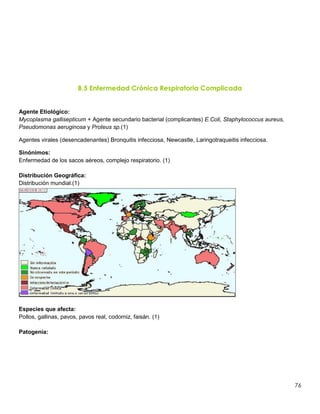 76
B.5 Enfermedad Crónica Respiratoria Complicada
Agente Etiológico:
Mycoplasma gallisepticum + Agente secundario bacterial (complicantes) E.Coli, Staphylococcus aureus,
Pseudomonas aeruginosa y Proteus sp.(1)
Agentes virales (desencadenantes) Bronquitis infecciosa, Newcastle, Laringotraqueitis infecciosa.
Sinónimos:
Enfermedad de los sacos aéreos, complejo respiratorio. (1)
Distribución Geográfica:
Distribución mundial.(1)
Especies que afecta:
Pollos, gallinas, pavos, pavos real, codorniz, faisán. (1)
Patogenia:
 