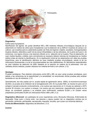79
Perihepatitis.
Diagnóstico:
Cultivo para mycoplasma:
Identificación del agente: Se puede identificar MG y MS mediante métodos inmunológicos después de su
aislamiento en medios de cultivo para micoplasmas o por la detección de su ADN en muestras de campo o en
cultivos. Las muestras para su aislamiento pueden ser frotis de órganos o tejidos, exudados, homogeneizados
tisulares diluidos, obtenidos a partir de los senos infraorbitales o de las articulares, de la yema de huevo o de
embriones. Los signos clínicos y las lesiones influirán en la selección de la muestra. Para el aislamiento, se
usan medios líquidos y sólidos, pero normalmente es necesario obtener colonias de micoplasmas en medios
sólidos antes de intentar la identificación. En la clasificación inicial de los aislamientos son útiles las pruebas
bioquímicas, pero la identificación definitiva se hace mediante pruebas inmunológicas, siendo la de los
anticuerpos fluorescentes y la de la inmunoperoxidasa las más satisfactorias. En laboratorios especializados
se usan métodos de detección de ADN, basados en la reacción en cadena de la polimerasa. Una vez
validados dichos métodos, pueden utilizarse con material de frotis o con cultivos. (1,3)
Serología:
Pruebas serológicas: Para detectar anticuerpos contra MG y MS, se usan varias pruebas serológicas, pero
debido a las variaciones de la especificidad y la sensibilidad, se recomiendan dichas pruebas para analizar
bandadas en vez de individuos. (1,3)
Generalmente, las más usadas son la prueba rápida de aglutinación sérica (RSA), el enzimoinmunoensayo
(ELISA) y la prueba de la inhibición de la hemaglutinación (IH). En la prueba RSA, se mezcla el suero con el
antígeno marcado producido comercialmente, y los sueros que reaccionan en 2 minutos se calientan a 56°C
durante 30 minutos y se vuelven a ensayar. Los sueros que aún reaccionan, especialmente cuando se los
diluye, se consideran positivos y se analizan para confirmación mediante ELISA o IH. Existen varios
preparados comerciales ELISA con anticuerpos frente a MG y MS. (1,3)
Diagnóstico diferencial: con patologías de curso respiratorias como, Bronquitis Infecciosa, Enfermedad de
Newcastle, Gripe aviar y Coriza aviar. Las lesiones y signos pueden dar un diagnóstico erróneo por la
pericarditis, peritonitis, perihepatitis, aerosaculitis, traqueítis, sinusitis, que cursan con síntomas idénticos.
Forma de diferenciación: diagnóstico de laboratorio. (1,3)
Control:
 