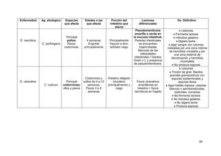 88
Enfermedad Ag. etiológico Especies
que afecta
Edades a las
que afecta
Porción del
intestino que
afecta
Lesiones
diferenciales
Dx. Definitivo
E. necrótica
C. perfringens
Principal
pollos.
Pavos,
codornices.
4 semanas
Engorde
principalmente
Principalmente
Yeyuno e ilion,
tambien ciego
Pseudomembrana
amarilla o verde en
la mucosa intestinal.
Paredes intestinales
se encuentran
hipertrofiadas
Necrosis de las
vellosidades
intestinales + bacilos
Gram (+) y presencia
de pseudomembrana.
 Lesiones
 Fermenta lactosa.
 Hidroliza gelatina.
 Digiere leche.
 Agar sangre con colonias
rodeadas por una zona interna
de hemólisis completa y por
una zona externa de
discoloración y hemólisis
incompleta
 No produce esporas
E. ulcerativa
C. colinum
Principal
codornicesp
ollos y pavos
Codornices y
pollos de 4 a 12
semanas.
Pavos 3 a 8
semanas
Intestino delgado
(duodeno
principalmente) y
ciego
Focos ulcerativos
amarillentos en
intestino + focos
necróticos en hígado
 Lesiones
 Tinción de gran: Bacilos
grandes grampositivos con
esporas subterminales y
esporas libres
 Agar fosfato triptosa: colonias
blancas o semitranslúcidas,
redondas, convexas
 No fermenta lactosa
 No hidroliza gelatina.
 No digiere leche
 Produce esporas
 