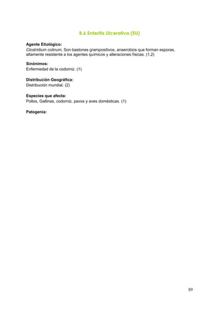 89
B.6 Enteritis Ulcerativa (EU)
Agente Etiológico:
Clostridium colinum, Son bastones grampositivos, anaerobios que forman esporas,
altamente resistente a los agentes químicos y alteraciones físicas. (1,2)
Sinónimos:
Enfermedad de la codorniz. (1)
Distribución Geográfica:
Distribución mundial. (2)
Especies que afecta:
Pollos, Gallinas, codorniz, pavos y aves domésticas. (1)
Patogenia:
 