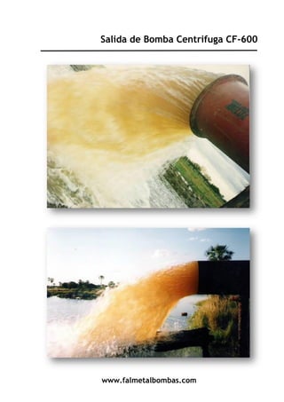 www.falmetalbombas.com
Salida de Bomba Centrifuga CF-600
 