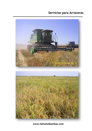 www.falmetalbombas.comwww.falmetalbombas.com
Servicios para Arroceras
 