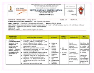 NOMBRE DEL JARDIN DE NIÑOS: “Diego Rivera” GRADO: 3º GRUPO: “A”
NOMBRE DE LA SITUACIÒN DE APRENDIZAJE: ¡Las catarinas y los leones!
CAMPO FORMATIVO: Exploración y conocimiento del mundo ASPECTO: Mundo Natural
COMPETENCIA: Observa características relevantes de elementos del medio y de fenómenos que ocurren en la naturaleza, distingue
semejanzas y diferencias y las describe con sus propias palabras.
MODALIDAD: Taller
ESTRATEGIA BÀSICA: La observación de objetos del entorno.
SUBSECRETARÍA DE EDUCACIÓN MEDIA SUPERIOR Y SUPERIOR
DIRECCIÓN GENERAL DE OPERACIÓN DE SERVICIOS
DE EDUCACIÓN MEDIA SUPERIOR Y SUPERIOR
SUBDIRECCIÓN DE FORMACIÓN DOCENTE
CENTRO REGIONAL DE EDUCACIÓN NORMAL
LICENCIATURA EN EDUCACIÓN PREESCOLAR
CICLO ESCOLAR 2015 - 2016
Fecha de Elaboración:
MARTES
15 DE MARZO
PLANEACIÓN DIDÁCTICA Página 29
APRENDIZAJES
ESPERADOS
SECUENCIA DE ACTIVIDADES RECURSOS
TIEMPO Y
ESPACIO
EVALUACIÓN
RETO Y
VARIANTES
 Describe
características de
los seres vivos
(partes que
conforman una
planta o un
animal) y el color,
tamaño, textura y
consistencia de
elementos no
vivos.
 Interrogar a los alumnos acerca de la
Catarina y el león ¿Dónde viven?, ¿Qué
comen? ¿De qué forma andan?
 Explicar de manera más detallada sobre
este insecto y animal.
 Mostrar imágenes o videos sobre su
alimentación, distribución, etc., para lograr
un aprendizaje significativo.
 Realizar comparaciones sobre lo que se
caracteriza un insecto de un animal.
 Comentar acerca de las exposiciones que
realizaron sus demás compañeros.
 Organizar a los alumnos para que se
sienten juntas las niñas y del otro los
niños.
 Mencionar las indicaciones de la
 Platos de
cartón
 Laptop
 Pintura
acrílica
amarilla,
roja y negra.
 Hojas de
color
 Pompones
 Ojos
 Batelenguas
 Pinceles
 Mandiles
 30
minutos
 Aula de
clases
Atiende
indicaciones y
realiza la
actividad como
se le pide.
Participa de
forma autónoma.
Identifica las
características
de un insecto y
animal.
.
Identificar las
características
y realizar la
actividad con
sumo cuidado
al trabajar con
la pintura.
Se permite
que algún
niño realice el
otro animal o
insecto, si así
lo desea.
 
