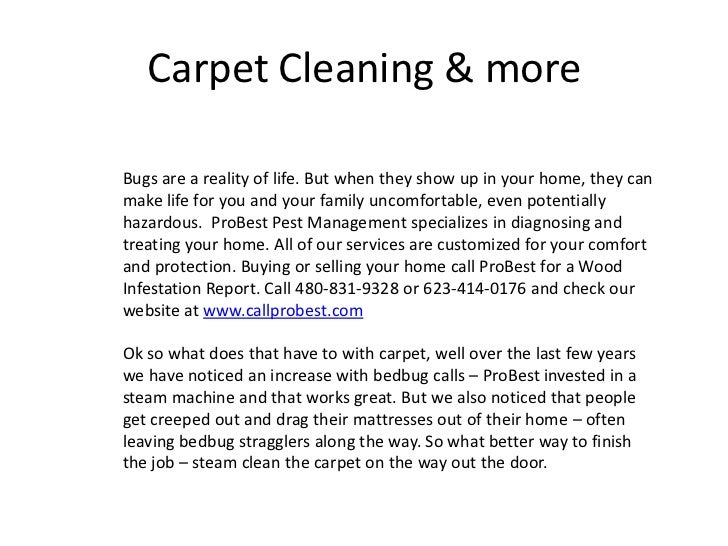 carpet cleaning & bedbugs carpet cleaning & bedbugs
