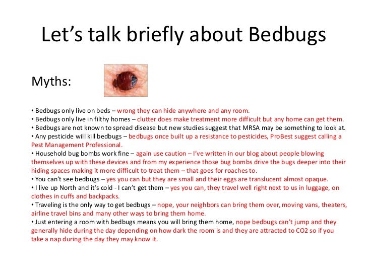 carpet cleaning & bedbugs carpet cleaning & bedbugs