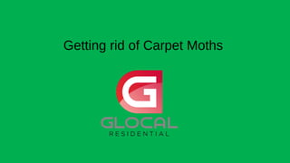 Getting rid of Carpet Moths
 