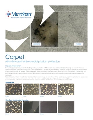 Carpet
with Microban®
antimicrobial product protection.
Proven Protection
The photographs (below) illustrate the long lasting protection of Microban® zinc antimicrobial technology on carpet. The data
and images were generated using AATCC Test Method 174 II, an industry standard test method used to quantitatively demonstrate
antimicrobial activity on textiles. The standard test method protocol specifies that a protected and unprotected sample both be
inocculated with bacteria and that after a 24 hour incubation period, the remaining organisms are to then be recovered and
counted.
To better demonstrate the effect of Microban® zinc technology on carpet over time, bacteria counts in these tests were recovered
and counted at multiple time periods over the standard AATCC Test Method 174 II time period of 24 hours.
Microban Antimicrobial Protection Helps Prevent the Growth of Stain and Odor Causing Bacteria, Mold and Mildew
2 Hours
Unprotected
4 Hours 8 Hours 24 Hours
2 Hours
Microban®
Antimicrobial Protection
4 Hours 8 Hours 24 Hours
 