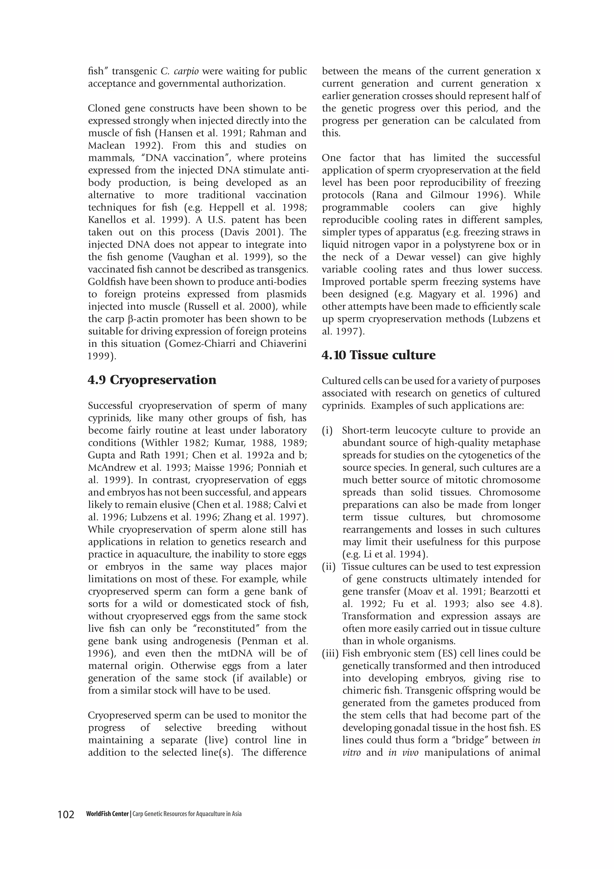 fish” transgenic C. carpio were waiting for public
acceptance and governmental authorization.
Cloned gene constructs have been shown to be
expressed strongly when injected directly into the
muscle of fish (Hansen et al. 1991; Rahman and
Maclean 1992). From this and studies on
mammals, “DNA vaccination”, where proteins
expressed from the injected DNA stimulate antibody production, is being developed as an
alternative to more traditional vaccination
techniques for fish (e.g. Heppell et al. 1998;
Kanellos et al. 1999). A U.S. patent has been
taken out on this process (Davis 2001). The
injected DNA does not appear to integrate into
the fish genome (Vaughan et al. 1999), so the
vaccinated fish cannot be described as transgenics.
Goldfish have been shown to produce anti-bodies
to foreign proteins expressed from plasmids
injected into muscle (Russell et al. 2000), while
the carp β-actin promoter has been shown to be
suitable for driving expression of foreign proteins
in this situation (Gomez-Chiarri and Chiaverini
1999).

4.9 Cryopreservation
Successful cryopreservation of sperm of many
cyprinids, like many other groups of fish, has
become fairly routine at least under laboratory
conditions (Withler 1982; Kumar, 1988, 1989;
Gupta and Rath 1991; Chen et al. 1992a and b;
McAndrew et al. 1993; Maisse 1996; Ponniah et
al. 1999). In contrast, cryopreservation of eggs
and embryos has not been successful, and appears
likely to remain elusive (Chen et al. 1988; Calvi et
al. 1996; Lubzens et al. 1996; Zhang et al. 1997).
While cryopreservation of sperm alone still has
applications in relation to genetics research and
practice in aquaculture, the inability to store eggs
or embryos in the same way places major
limitations on most of these. For example, while
cryopreserved sperm can form a gene bank of
sorts for a wild or domesticated stock of fish,
without cryopreserved eggs from the same stock
live fish can only be “reconstituted” from the
gene bank using androgenesis (Penman et al.
1996), and even then the mtDNA will be of
maternal origin. Otherwise eggs from a later
generation of the same stock (if available) or
from a similar stock will have to be used.
Cryopreserved sperm can be used to monitor the
progress of selective breeding without
maintaining a separate (live) control line in
addition to the selected line(s). The difference

102

WorldFish Center | Carp Genetic Resources for Aquaculture in Asia

between the means of the current generation x
current generation and current generation x
earlier generation crosses should represent half of
the genetic progress over this period, and the
progress per generation can be calculated from
this.
One factor that has limited the successful
application of sperm cryopreservation at the field
level has been poor reproducibility of freezing
protocols (Rana and Gilmour 1996). While
programmable coolers can give highly
reproducible cooling rates in different samples,
simpler types of apparatus (e.g. freezing straws in
liquid nitrogen vapor in a polystyrene box or in
the neck of a Dewar vessel) can give highly
variable cooling rates and thus lower success.
Improved portable sperm freezing systems have
been designed (e.g. Magyary et al. 1996) and
other attempts have been made to efficiently scale
up sperm cryopreservation methods (Lubzens et
al. 1997).

4.10 Tissue culture
Cultured cells can be used for a variety of purposes
associated with research on genetics of cultured
cyprinids. Examples of such applications are:
(i) Short-term leucocyte culture to provide an
abundant source of high-quality metaphase
spreads for studies on the cytogenetics of the
source species. In general, such cultures are a
much better source of mitotic chromosome
spreads than solid tissues. Chromosome
preparations can also be made from longer
term tissue cultures, but chromosome
rearrangements and losses in such cultures
may limit their usefulness for this purpose
(e.g. Li et al. 1994).
(ii) Tissue cultures can be used to test expression
of gene constructs ultimately intended for
gene transfer (Moav et al. 1991; Bearzotti et
al. 1992; Fu et al. 1993; also see 4.8).
Transformation and expression assays are
often more easily carried out in tissue culture
than in whole organisms.
(iii) Fish embryonic stem (ES) cell lines could be
genetically transformed and then introduced
into developing embryos, giving rise to
chimeric fish. Transgenic offspring would be
generated from the gametes produced from
the stem cells that had become part of the
developing gonadal tissue in the host fish. ES
lines could thus form a “bridge” between in
vitro and in vivo manipulations of animal

 