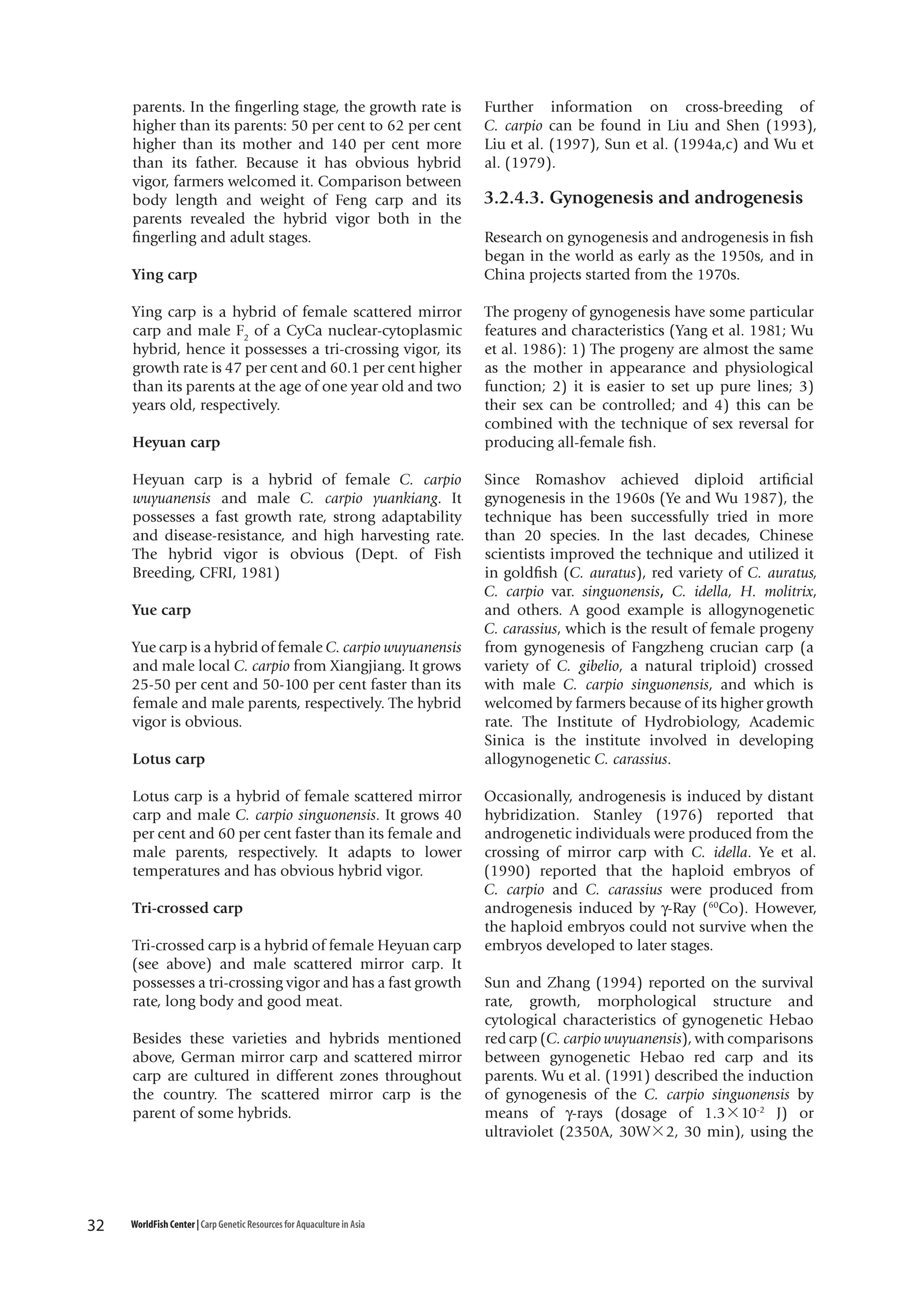parents. In the fingerling stage, the growth rate is
higher than its parents: 50 per cent to 62 per cent
higher than its mother and 140 per cent more
than its father. Because it has obvious hybrid
vigor, farmers welcomed it. Comparison between
body length and weight of Feng carp and its
parents revealed the hybrid vigor both in the
fingerling and adult stages.
Ying carp
Ying carp is a hybrid of female scattered mirror
carp and male F2 of a CyCa nuclear-cytoplasmic
hybrid, hence it possesses a tri-crossing vigor, its
growth rate is 47 per cent and 60.1 per cent higher
than its parents at the age of one year old and two
years old, respectively.
Heyuan carp
Heyuan carp is a hybrid of female C. carpio
wuyuanensis and male C. carpio yuankiang. It
possesses a fast growth rate, strong adaptability
and disease-resistance, and high harvesting rate.
The hybrid vigor is obvious (Dept. of Fish
Breeding, CFRI, 1981)
Yue carp
Yue carp is a hybrid of female C. carpio wuyuanensis
and male local C. carpio from Xiangjiang. It grows
25-50 per cent and 50-100 per cent faster than its
female and male parents, respectively. The hybrid
vigor is obvious.
Lotus carp
Lotus carp is a hybrid of female scattered mirror
carp and male C. carpio singuonensis. It grows 40
per cent and 60 per cent faster than its female and
male parents, respectively. It adapts to lower
temperatures and has obvious hybrid vigor.
Tri-crossed carp
Tri-crossed carp is a hybrid of female Heyuan carp
(see above) and male scattered mirror carp. It
possesses a tri-crossing vigor and has a fast growth
rate, long body and good meat.
Besides these varieties and hybrids mentioned
above, German mirror carp and scattered mirror
carp are cultured in different zones throughout
the country. The scattered mirror carp is the
parent of some hybrids.

32

WorldFish Center | Carp Genetic Resources for Aquaculture in Asia

Further information on cross-breeding of
C. carpio can be found in Liu and Shen (1993),
Liu et al. (1997), Sun et al. (1994a,c) and Wu et
al. (1979).

3.2.4.3. Gynogenesis and androgenesis
Research on gynogenesis and androgenesis in fish
began in the world as early as the 1950s, and in
China projects started from the 1970s.
The progeny of gynogenesis have some particular
features and characteristics (Yang et al. 1981; Wu
et al. 1986): 1) The progeny are almost the same
as the mother in appearance and physiological
function; 2) it is easier to set up pure lines; 3)
their sex can be controlled; and 4) this can be
combined with the technique of sex reversal for
producing all-female fish.
Since Romashov achieved diploid artificial
gynogenesis in the 1960s (Ye and Wu 1987), the
technique has been successfully tried in more
than 20 species. In the last decades, Chinese
scientists improved the technique and utilized it
in goldfish (C. auratus), red variety of C. auratus,
C. carpio var. singuonensis, C. idella, H. molitrix,
and others. A good example is allogynogenetic
C. carassius, which is the result of female progeny
from gynogenesis of Fangzheng crucian carp (a
variety of C. gibelio, a natural triploid) crossed
with male C. carpio singuonensis, and which is
welcomed by farmers because of its higher growth
rate. The Institute of Hydrobiology, Academic
Sinica is the institute involved in developing
allogynogenetic C. carassius.
Occasionally, androgenesis is induced by distant
hybridization. Stanley (1976) reported that
androgenetic individuals were produced from the
crossing of mirror carp with C. idella. Ye et al.
(1990) reported that the haploid embryos of
C. carpio and C. carassius were produced from
androgenesis induced by γ-Ray (60Co). However,
the haploid embryos could not survive when the
embryos developed to later stages.
Sun and Zhang (1994) reported on the survival
rate, growth, morphological structure and
cytological characteristics of gynogenetic Hebao
red carp (C. carpio wuyuanensis), with comparisons
between gynogenetic Hebao red carp and its
parents. Wu et al. (1991) described the induction
of gynogenesis of the C. carpio singuonensis by
means of γ-rays (dosage of 1.3×10-2 J) or
ultraviolet (2350A, 30W×2, 30 min), using the

 