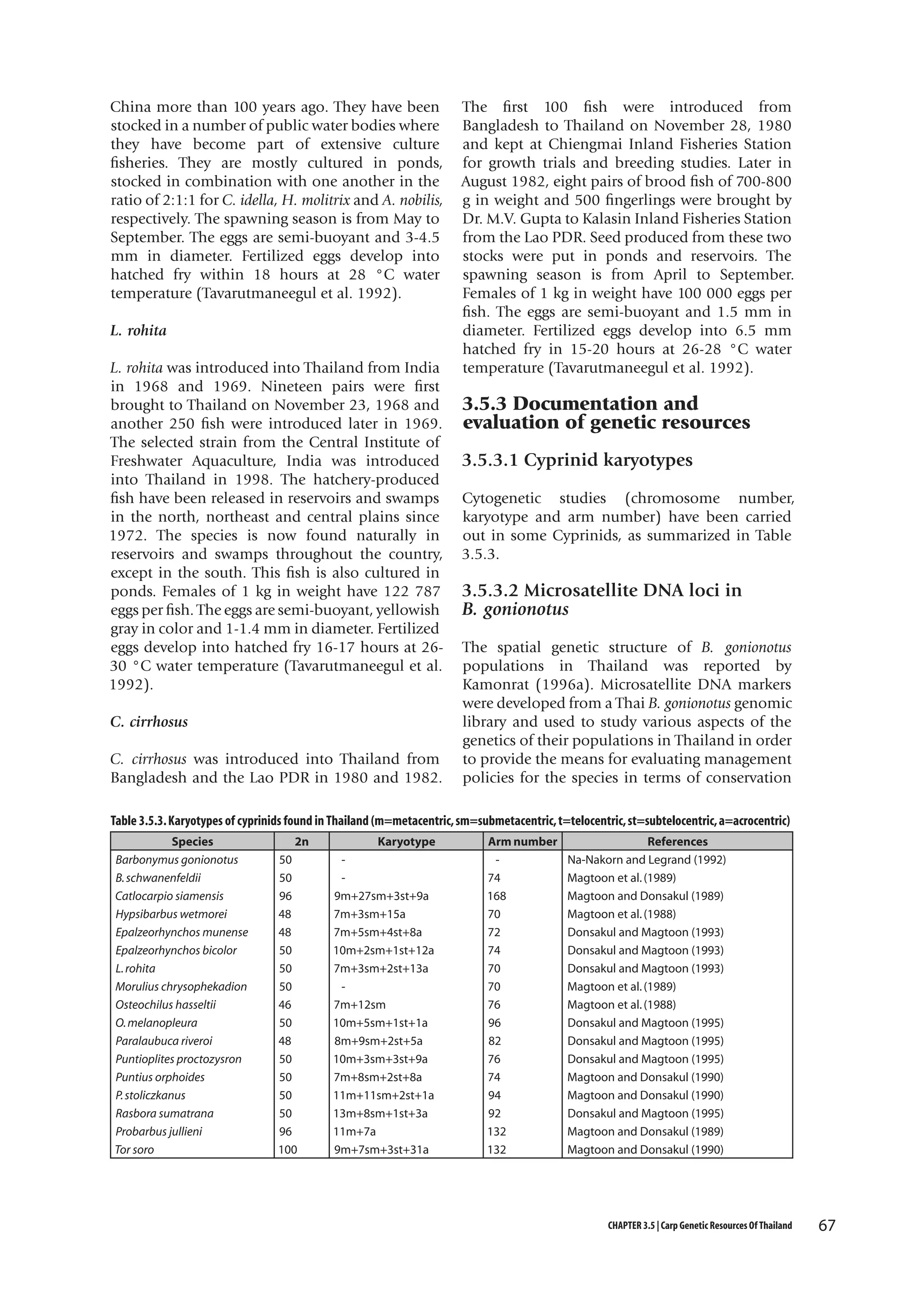 China more than 100 years ago. They have been
stocked in a number of public water bodies where
they have become part of extensive culture
fisheries. They are mostly cultured in ponds,
stocked in combination with one another in the
ratio of 2:1:1 for C. idella, H. molitrix and A. nobilis,
respectively. The spawning season is from May to
September. The eggs are semi-buoyant and 3-4.5
mm in diameter. Fertilized eggs develop into
hatched fry within 18 hours at 28 °C water
temperature (Tavarutmaneegul et al. 1992).
L. rohita
L. rohita was introduced into Thailand from India
in 1968 and 1969. Nineteen pairs were first
brought to Thailand on November 23, 1968 and
another 250 fish were introduced later in 1969.
The selected strain from the Central Institute of
Freshwater Aquaculture, India was introduced
into Thailand in 1998. The hatchery-produced
fish have been released in reservoirs and swamps
in the north, northeast and central plains since
1972. The species is now found naturally in
reservoirs and swamps throughout the country,
except in the south. This fish is also cultured in
ponds. Females of 1 kg in weight have 122 787
eggs per fish. The eggs are semi-buoyant, yellowish
gray in color and 1-1.4 mm in diameter. Fertilized
eggs develop into hatched fry 16-17 hours at 2630 °C water temperature (Tavarutmaneegul et al.
1992).
C. cirrhosus
C. cirrhosus was introduced into Thailand from
Bangladesh and the Lao PDR in 1980 and 1982.

The first 100 fish were introduced from
Bangladesh to Thailand on November 28, 1980
and kept at Chiengmai Inland Fisheries Station
for growth trials and breeding studies. Later in
August 1982, eight pairs of brood fish of 700-800
g in weight and 500 fingerlings were brought by
Dr. M.V. Gupta to Kalasin Inland Fisheries Station
from the Lao PDR. Seed produced from these two
stocks were put in ponds and reservoirs. The
spawning season is from April to September.
Females of 1 kg in weight have 100 000 eggs per
fish. The eggs are semi-buoyant and 1.5 mm in
diameter. Fertilized eggs develop into 6.5 mm
hatched fry in 15-20 hours at 26-28 °C water
temperature (Tavarutmaneegul et al. 1992).

3.5.3 Documentation and
evaluation of genetic resources
3.5.3.1 Cyprinid karyotypes
Cytogenetic studies (chromosome number,
karyotype and arm number) have been carried
out in some Cyprinids, as summarized in Table
3.5.3.

3.5.3.2 Microsatellite DNA loci in
B. gonionotus
The spatial genetic structure of B. gonionotus
populations in Thailand was reported by
Kamonrat (1996a). Microsatellite DNA markers
were developed from a Thai B. gonionotus genomic
library and used to study various aspects of the
genetics of their populations in Thailand in order
to provide the means for evaluating management
policies for the species in terms of conservation

Table 3.5.3. Karyotypes of cyprinids found in Thailand (m=metacentric, sm=submetacentric, t=telocentric, st=subtelocentric, a=acrocentric)
Species
Barbonymus gonionotus
B. schwanenfeldii
Catlocarpio siamensis
Hypsibarbus wetmorei
Epalzeorhynchos munense
Epalzeorhynchos bicolor
L. rohita
Morulius chrysophekadion
Osteochilus hasseltii
O. melanopleura
Paralaubuca riveroi
Puntioplites proctozysron
Puntius orphoides
P. stoliczkanus
Rasbora sumatrana
Probarbus jullieni
Tor soro

2n
50
50
96
48
48
50
50
50
46
50
48
50
50
50
50
96
100

Karyotype
9m+27sm+3st+9a
7m+3sm+15a
7m+5sm+4st+8a
10m+2sm+1st+12a
7m+3sm+2st+13a
7m+12sm
10m+5sm+1st+1a
8m+9sm+2st+5a
10m+3sm+3st+9a
7m+8sm+2st+8a
11m+11sm+2st+1a
13m+8sm+1st+3a
11m+7a
9m+7sm+3st+31a

Arm number
74
168
70
72
74
70
70
76
96
82
76
74
94
92
132
132

References
Na-Nakorn and Legrand (1992)
Magtoon et al. (1989)
Magtoon and Donsakul (1989)
Magtoon et al. (1988)
Donsakul and Magtoon (1993)
Donsakul and Magtoon (1993)
Donsakul and Magtoon (1993)
Magtoon et al. (1989)
Magtoon et al. (1988)
Donsakul and Magtoon (1995)
Donsakul and Magtoon (1995)
Donsakul and Magtoon (1995)
Magtoon and Donsakul (1990)
Magtoon and Donsakul (1990)
Donsakul and Magtoon (1995)
Magtoon and Donsakul (1989)
Magtoon and Donsakul (1990)

CHAPTER 3.5 | Carp Genetic Resources Of Thailand

67

 