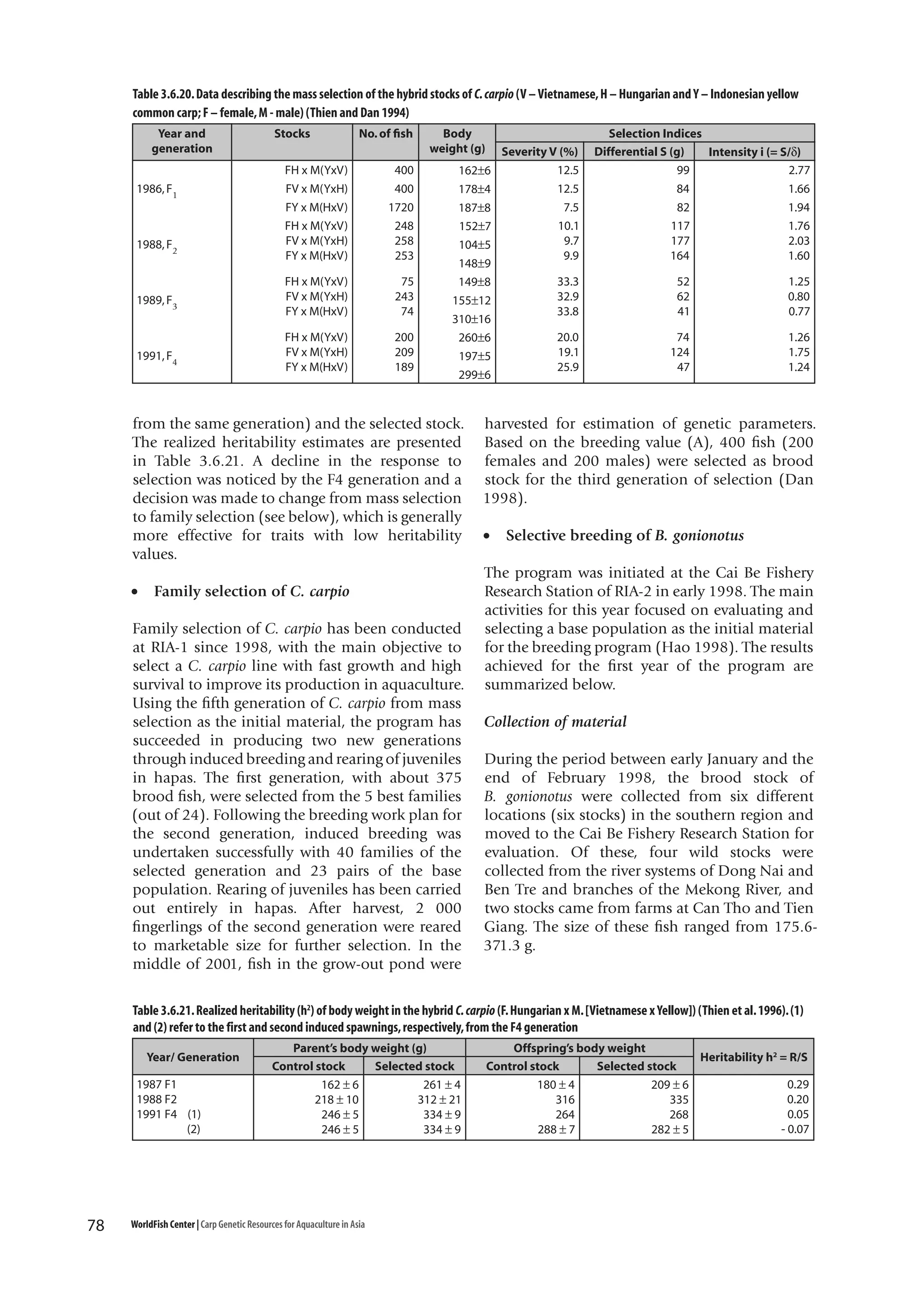 Table 3.6.20. Data describing the mass selection of the hybrid stocks of C. carpio (V – Vietnamese, H – Hungarian and Y – Indonesian yellow
common carp; F – female, M - male) (Thien and Dan 1994)
Year and
generation

Stocks

No. of fish

FH x M(YxV)
FV x M(YxH)
FY x M(HxV)
FH x M(YxV)
FV x M(YxH)
FY x M(HxV)

400
400
1720
248
258
253

1989, F3

FH x M(YxV)
FV x M(YxH)
FY x M(HxV)

75
243
74

1991, F4

FH x M(YxV)
FV x M(YxH)
FY x M(HxV)

200
209
189

1986, F1

1988, F2

Body
weight (g)
162±6
178±4
187±8
152±7
104±5
148±9
149±8
155±12
310±16
260±6
197±5
299±6

from the same generation) and the selected stock.
The realized heritability estimates are presented
in Table 3.6.21. A decline in the response to
selection was noticed by the F4 generation and a
decision was made to change from mass selection
to family selection (see below), which is generally
more effective for traits with low heritability
values.
•

Family selection of C. carpio

Family selection of C. carpio has been conducted
at RIA-1 since 1998, with the main objective to
select a C. carpio line with fast growth and high
survival to improve its production in aquaculture.
Using the fifth generation of C. carpio from mass
selection as the initial material, the program has
succeeded in producing two new generations
through induced breeding and rearing of juveniles
in hapas. The first generation, with about 375
brood fish, were selected from the 5 best families
(out of 24). Following the breeding work plan for
the second generation, induced breeding was
undertaken successfully with 40 families of the
selected generation and 23 pairs of the base
population. Rearing of juveniles has been carried
out entirely in hapas. After harvest, 2 000
fingerlings of the second generation were reared
to marketable size for further selection. In the
middle of 2001, fish in the grow-out pond were

Severity V (%)
12.5
12.5
7.5
10.1
9.7
9.9

Selection Indices
Differential S (g)
Intensity i (= S/δ)
99
2.77
84
1.66
82
1.94
117
1.76
177
2.03
164
1.60

33.3
32.9
33.8

52
62
41

1.25
0.80
0.77

20.0
19.1
25.9

74
124
47

1.26
1.75
1.24

harvested for estimation of genetic parameters.
Based on the breeding value (A), 400 fish (200
females and 200 males) were selected as brood
stock for the third generation of selection (Dan
1998).
•

Selective breeding of B. gonionotus

The program was initiated at the Cai Be Fishery
Research Station of RIA-2 in early 1998. The main
activities for this year focused on evaluating and
selecting a base population as the initial material
for the breeding program (Hao 1998). The results
achieved for the first year of the program are
summarized below.
Collection of material
During the period between early January and the
end of February 1998, the brood stock of
B. gonionotus were collected from six different
locations (six stocks) in the southern region and
moved to the Cai Be Fishery Research Station for
evaluation. Of these, four wild stocks were
collected from the river systems of Dong Nai and
Ben Tre and branches of the Mekong River, and
two stocks came from farms at Can Tho and Tien
Giang. The size of these fish ranged from 175.6371.3 g.

Table 3.6.21. Realized heritability (h2) of body weight in the hybrid C. carpio (F. Hungarian x M. [Vietnamese x Yellow]) (Thien et al. 1996). (1)
and (2) refer to the first and second induced spawnings, respectively, from the F4 generation
Year/ Generation
1987 F1
1988 F2
1991 F4 (1)
(2)

78

Parent’s body weight (g)
Control stock
Selected stock
162 ± 6
261 ± 4
218 ± 10
312 ± 21
246 ± 5
334 ± 9
246 ± 5
334 ± 9

WorldFish Center | Carp Genetic Resources for Aquaculture in Asia

Offspring’s body weight
Heritability h2 = R/S
Control stock
Selected stock
0.29
180 ± 4
209 ± 6
0.20
316
335
0.05
264
268
- 0.07
288 ± 7
282 ± 5

 