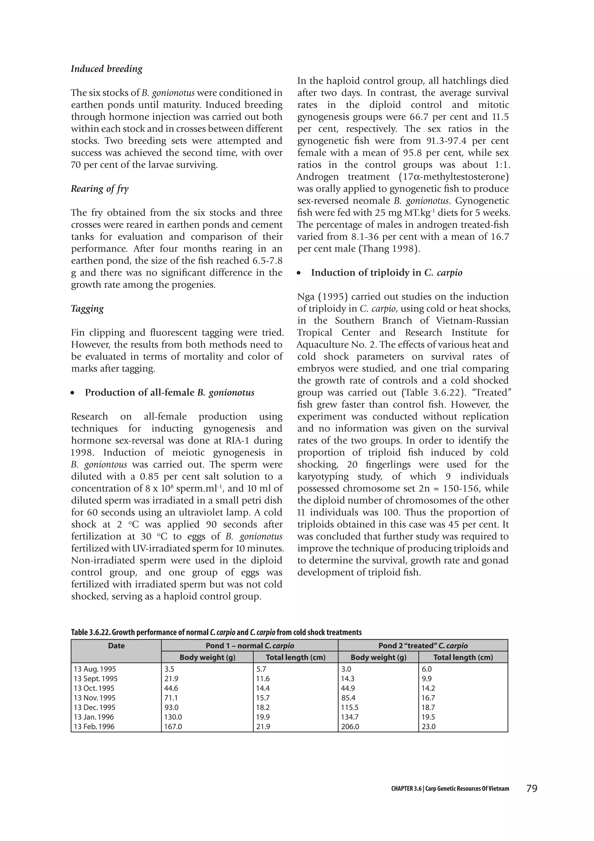 Induced breeding
The six stocks of B. gonionotus were conditioned in
earthen ponds until maturity. Induced breeding
through hormone injection was carried out both
within each stock and in crosses between different
stocks. Two breeding sets were attempted and
success was achieved the second time, with over
70 per cent of the larvae surviving.
Rearing of fry
The fry obtained from the six stocks and three
crosses were reared in earthen ponds and cement
tanks for evaluation and comparison of their
performance. After four months rearing in an
earthen pond, the size of the fish reached 6.5-7.8
g and there was no significant difference in the
growth rate among the progenies.
Tagging
Fin clipping and fluorescent tagging were tried.
However, the results from both methods need to
be evaluated in terms of mortality and color of
marks after tagging.
•

Production of all-female B. gonionotus

Research on all-female production using
techniques for inducting gynogenesis and
hormone sex-reversal was done at RIA-1 during
1998. Induction of meiotic gynogenesis in
B. goniontous was carried out. The sperm were
diluted with a 0.85 per cent salt solution to a
concentration of 8 x 108 sperm.ml-1, and 10 ml of
diluted sperm was irradiated in a small petri dish
for 60 seconds using an ultraviolet lamp. A cold
shock at 2 oC was applied 90 seconds after
fertilization at 30 oC to eggs of B. gonionotus
fertilized with UV-irradiated sperm for 10 minutes.
Non-irradiated sperm were used in the diploid
control group, and one group of eggs was
fertilized with irradiated sperm but was not cold
shocked, serving as a haploid control group.

In the haploid control group, all hatchlings died
after two days. In contrast, the average survival
rates in the diploid control and mitotic
gynogenesis groups were 66.7 per cent and 11.5
per cent, respectively. The sex ratios in the
gynogenetic fish were from 91.3-97.4 per cent
female with a mean of 95.8 per cent, while sex
ratios in the control groups was about 1:1.
Androgen treatment (17α-methyltestosterone)
was orally applied to gynogenetic fish to produce
sex-reversed neomale B. gonionotus. Gynogenetic
fish were fed with 25 mg MT.kg-1 diets for 5 weeks.
The percentage of males in androgen treated-fish
varied from 8.1-36 per cent with a mean of 16.7
per cent male (Thang 1998).
•

Induction of triploidy in C. carpio

Nga (1995) carried out studies on the induction
of triploidy in C. carpio, using cold or heat shocks,
in the Southern Branch of Vietnam-Russian
Tropical Center and Research Institute for
Aquaculture No. 2. The effects of various heat and
cold shock parameters on survival rates of
embryos were studied, and one trial comparing
the growth rate of controls and a cold shocked
group was carried out (Table 3.6.22). “Treated”
fish grew faster than control fish. However, the
experiment was conducted without replication
and no information was given on the survival
rates of the two groups. In order to identify the
proportion of triploid fish induced by cold
shocking, 20 fingerlings were used for the
karyotyping study, of which 9 individuals
possessed chromosome set 2n = 150-156, while
the diploid number of chromosomes of the other
11 individuals was 100. Thus the proportion of
triploids obtained in this case was 45 per cent. It
was concluded that further study was required to
improve the technique of producing triploids and
to determine the survival, growth rate and gonad
development of triploid fish.

Table 3.6.22. Growth performance of normal C. carpio and C. carpio from cold shock treatments
Date
13 Aug. 1995
13 Sept. 1995
13 Oct. 1995
13 Nov. 1995
13 Dec. 1995
13 Jan. 1996
13 Feb. 1996

Pond 1 – normal C. carpio
Body weight (g)
Total length (cm)
3.5
5.7
21.9
11.6
44.6
14.4
71.1
15.7
93.0
18.2
130.0
19.9
167.0
21.9

Pond 2 “treated” C. carpio
Body weight (g)
Total length (cm)
3.0
6.0
14.3
9.9
44.9
14.2
85.4
16.7
115.5
18.7
134.7
19.5
206.0
23.0

CHAPTER 3.6 | Carp Genetic Resources Of Vietnam

79

 