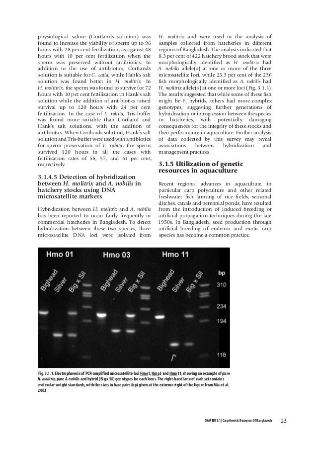 survival in saline Sperm