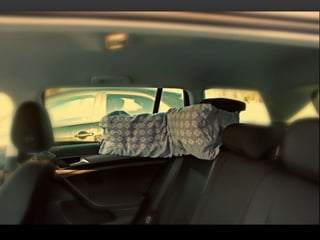 Car pillow