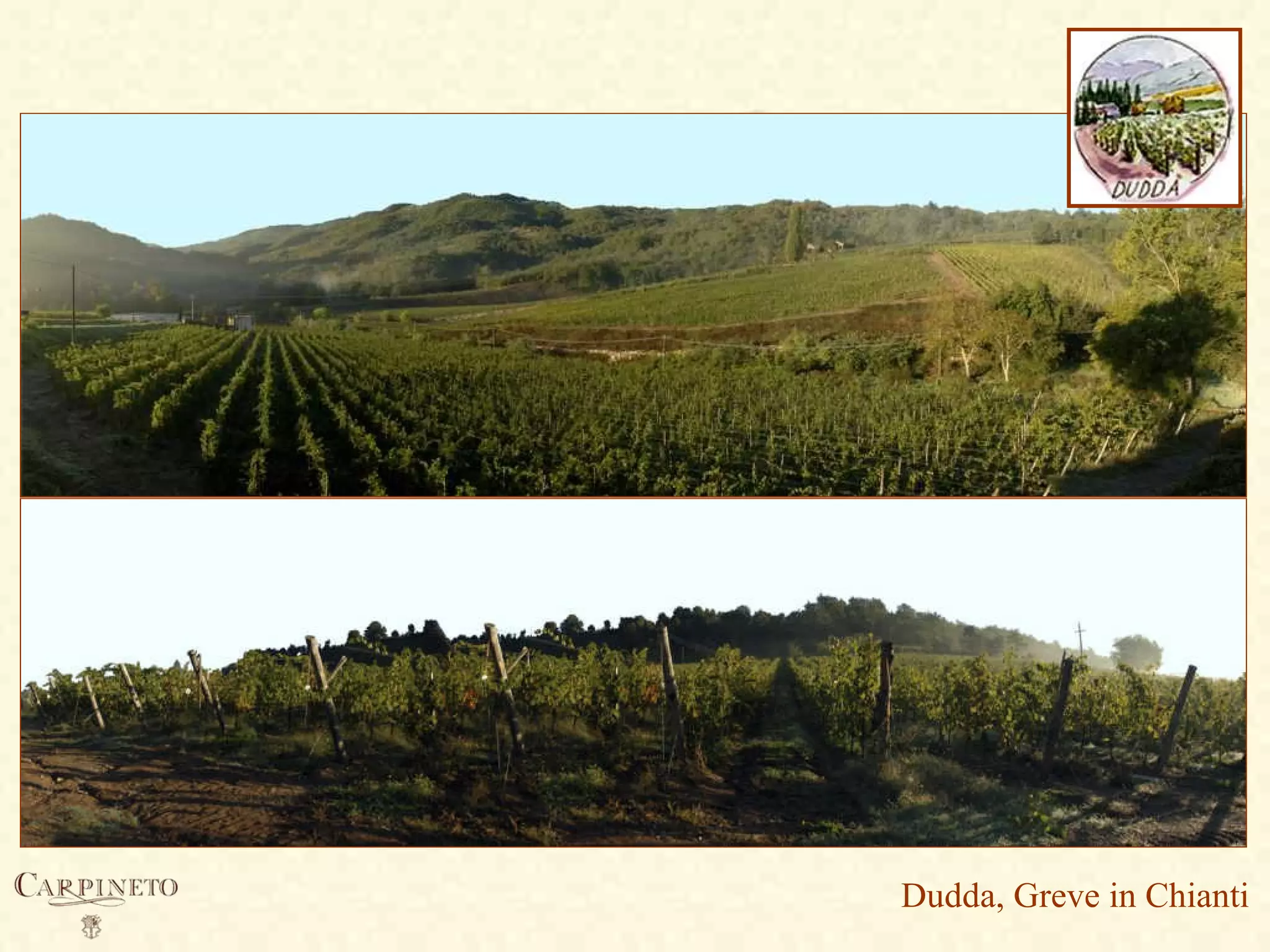 Dudda, Greve in Chianti