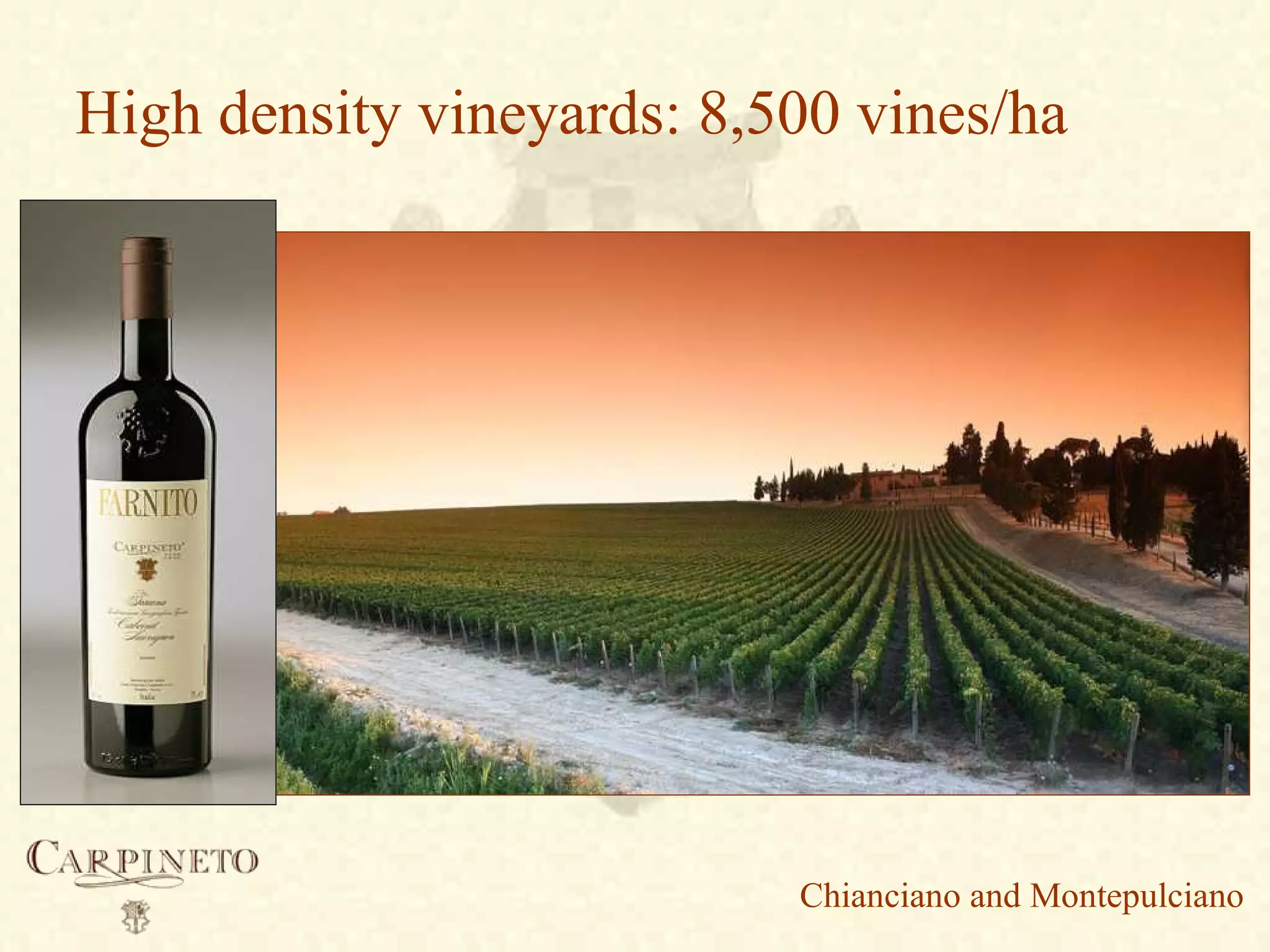 High density vineyards: 8,500 vines/ha
Chianciano and Montepulciano