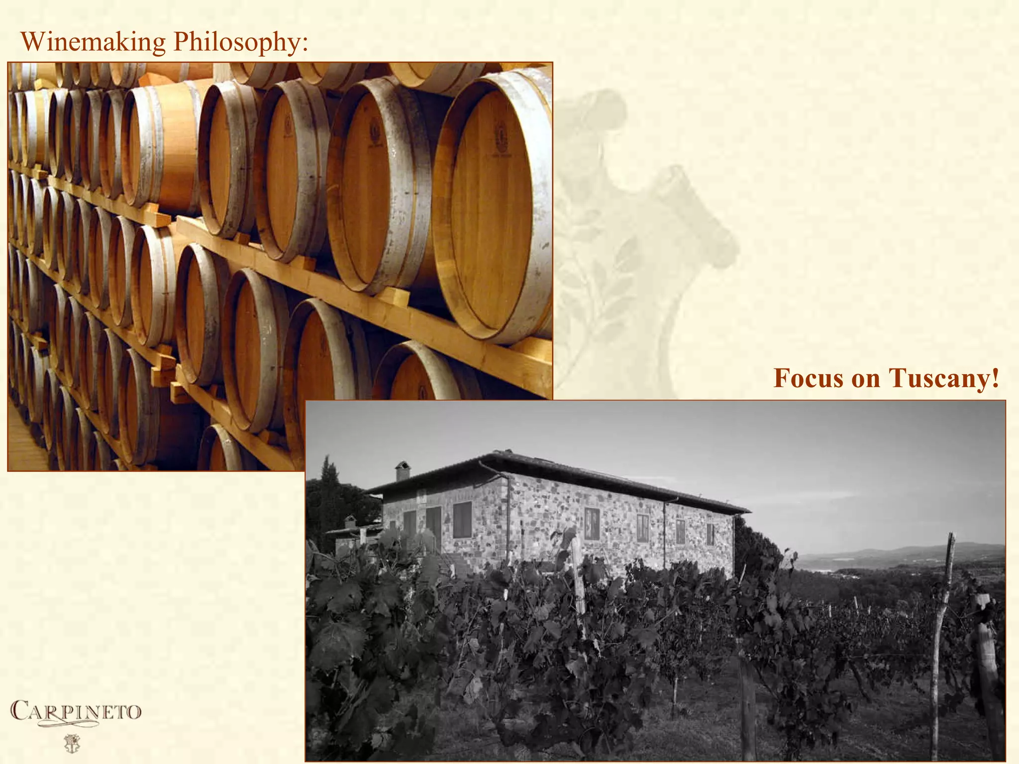 Winemaking Philosophy:
Focus on Tuscany!