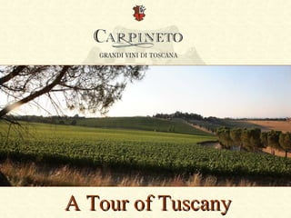 A Tour of Tuscany
 