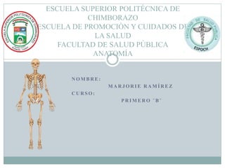 N O M B R E :
M A R J O R I E R A M Í R E Z
C U R S O :
P R I M E R O ¨ B ¨
ESCUELA SUPERIOR POLITÉCNICA DE
CHIMBORAZO
ESCUELA DE PROMOCIÒN Y CUIDADOS DE
LA SALUD
FACULTAD DE SALUD PÙBLICA
ANATOMÍA
 