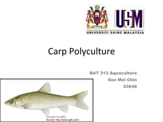 Carp Polyculture BAT 313 Aquaculture Soo Mei Chin 93648 Source: http://www.agfc.com/ 