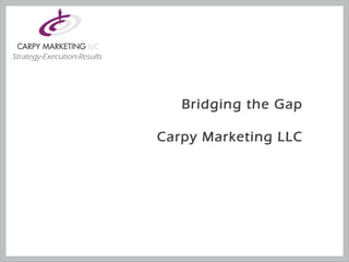 Strategy-Execution-Results Bridging the Gap Carpy Marketing LLC 