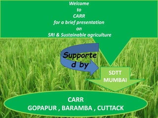 CARR
GOPAPUR , BARAMBA , CUTTACK
Welcome
to
CARR
for a brief presentation
on
SRI & Sustainable agriculture
SDTT
MUMBAI
Supporte
d by
 