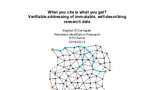 What you cite is what you get?
Verifiable addressing of immutable, self-describing
research data
Eoghan Ó Carragáin
Persistent Identifiers in Research
ETH Zurich
2019-09-13
 